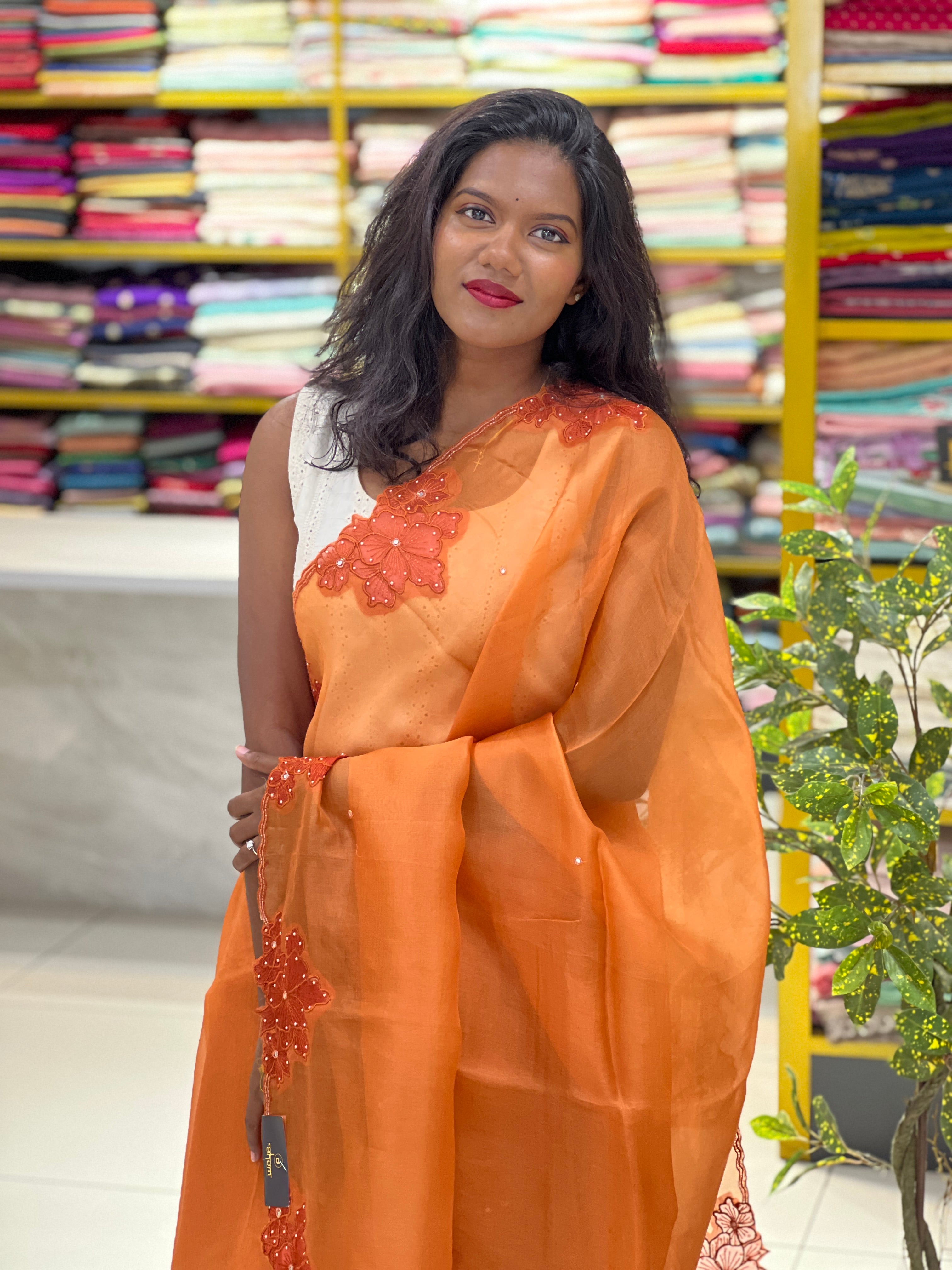 Floral Applique Work Detailed Pure Organza Saree | SBS1353