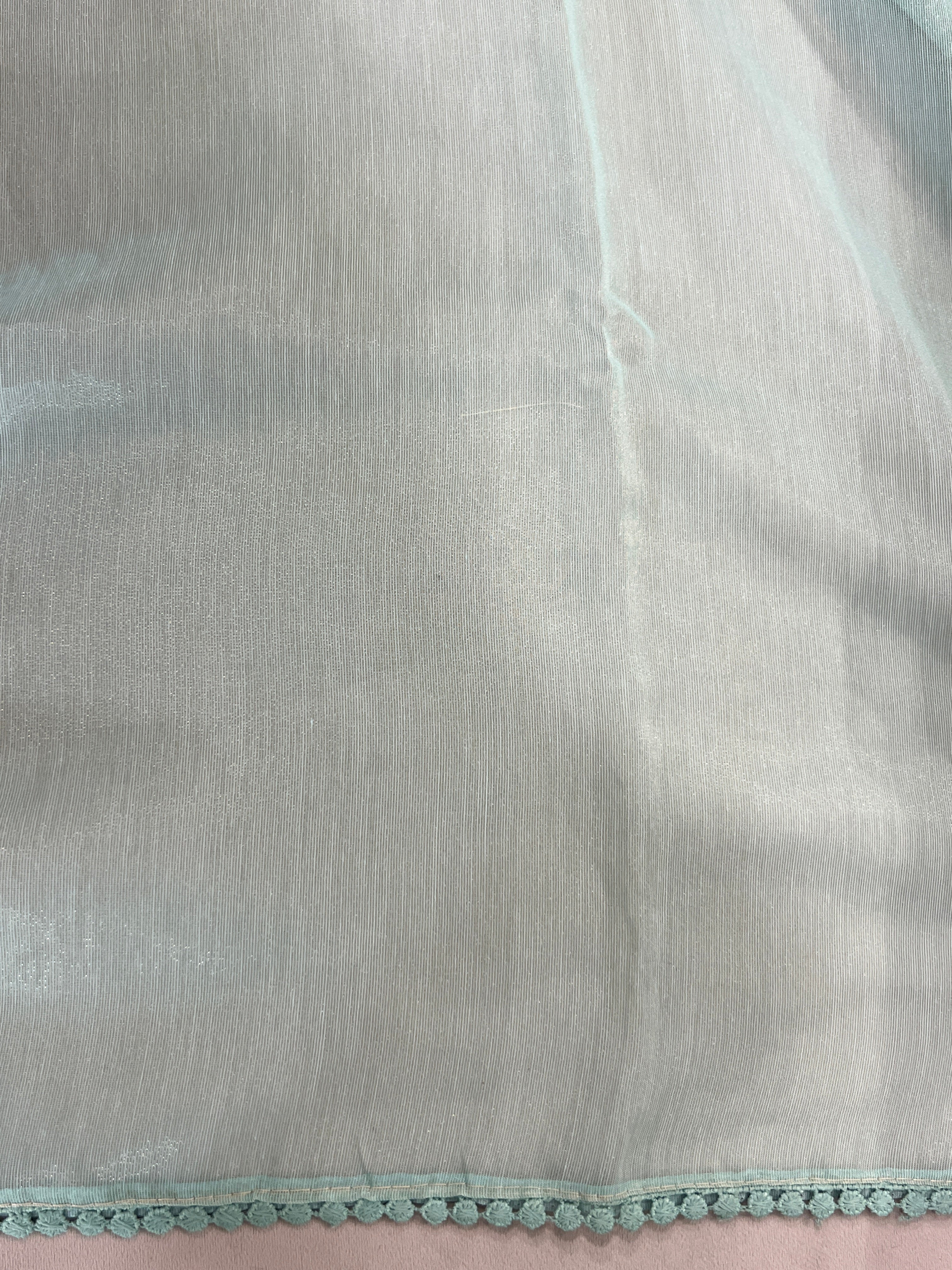 Floral & Leaf Machine Embroidery Shimmer Organza Saree | BLD1450