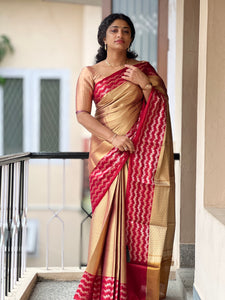 Geometric Patterned Tissue Saree With Contrast Border | NN151