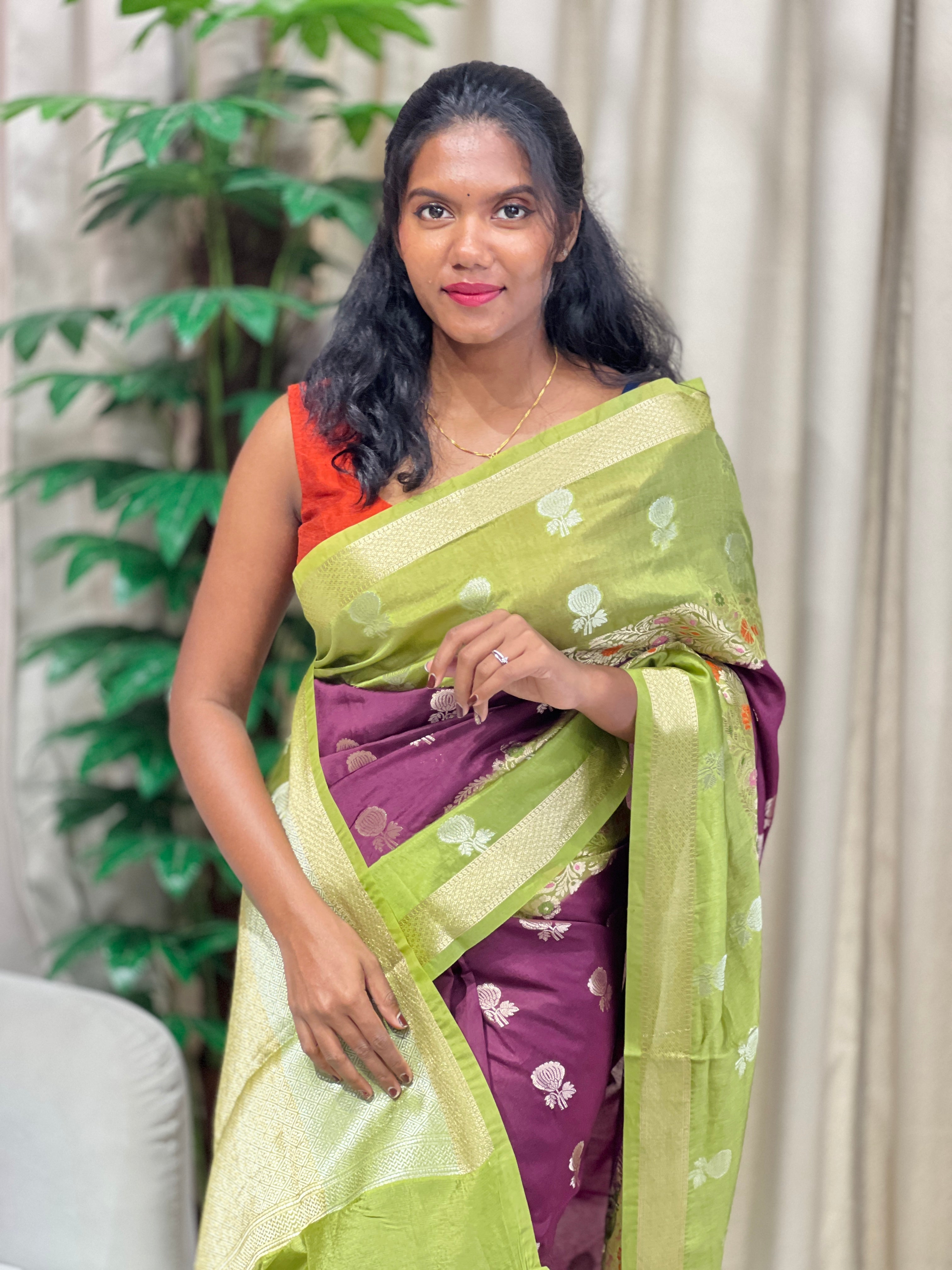 Meenakari Patterned Banarasi Saree | NN430