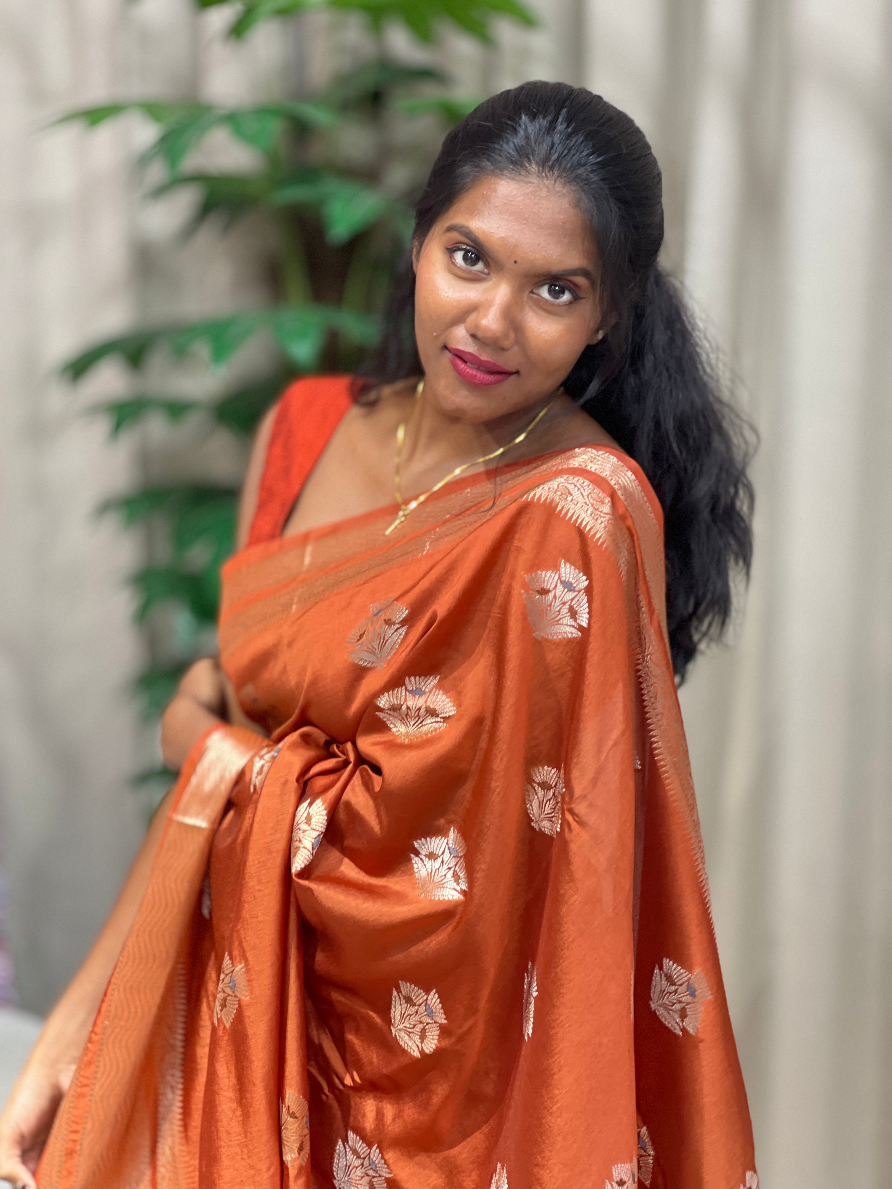 Zari And Thread Woven Banarasi Saree | NN425