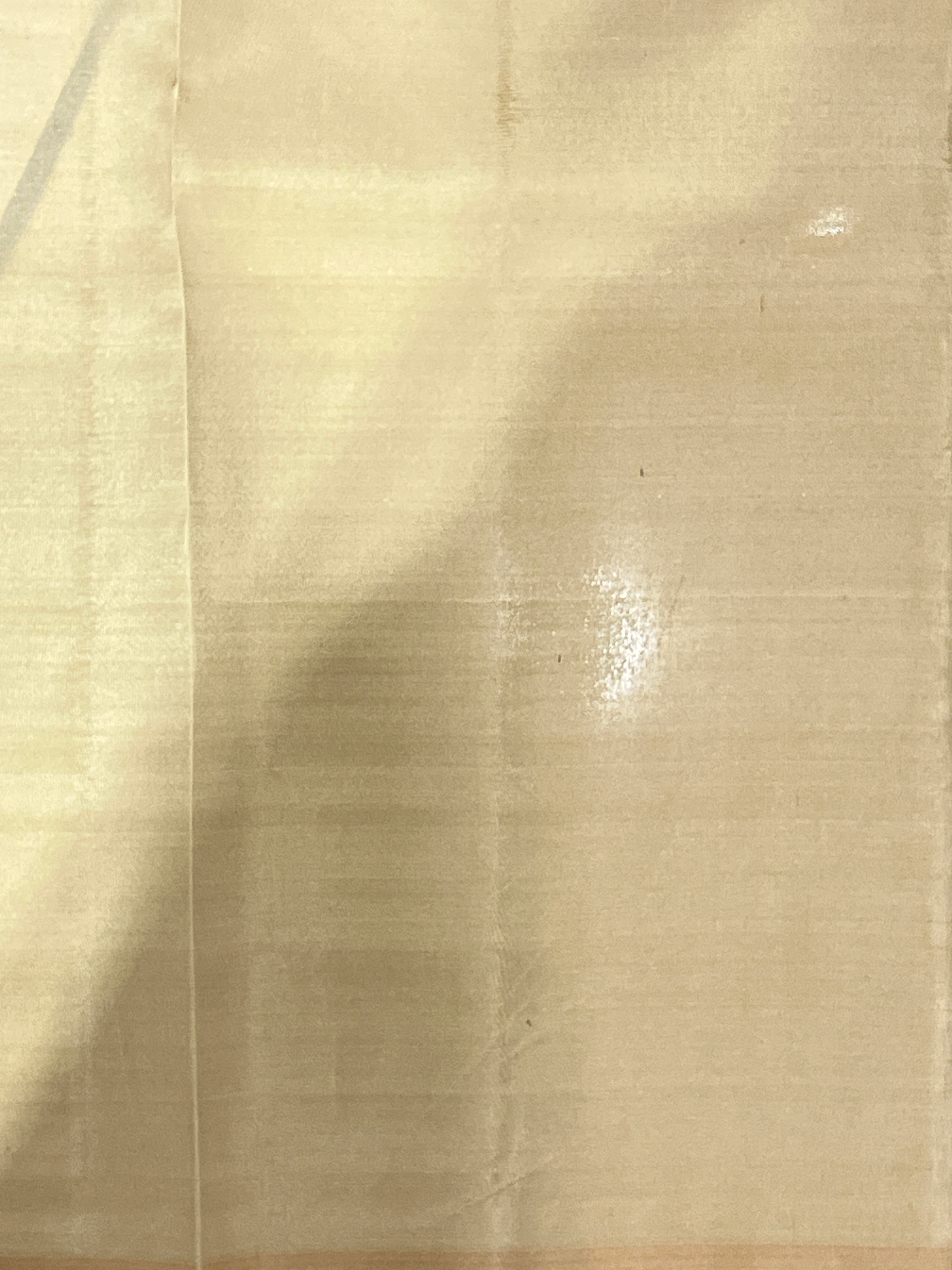 Embossed Weaved Pattern Semi Soft Silk Saree| RTD143