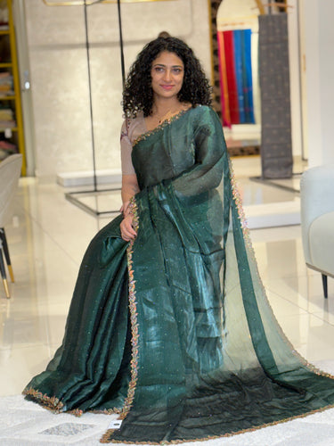 Stone Work Glass Organza Saree | SBP395