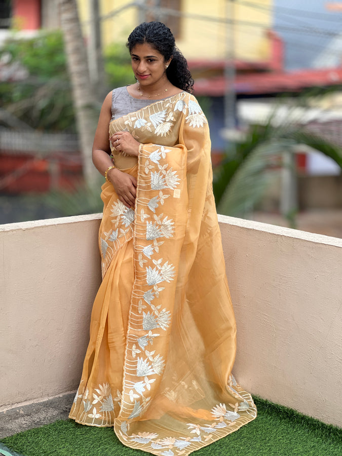 Embroidered Silk Organza Saree | SBS819