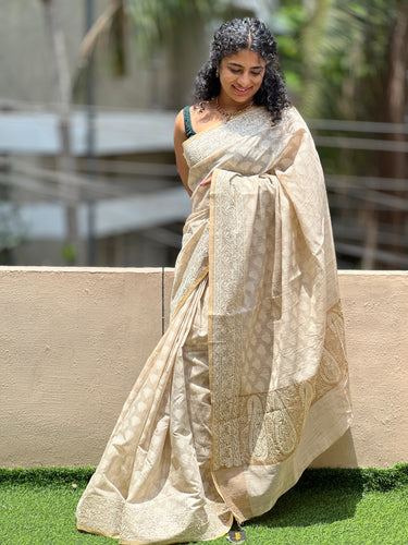 Embroidery Border Pattern Linen Finish Saree | BLD255