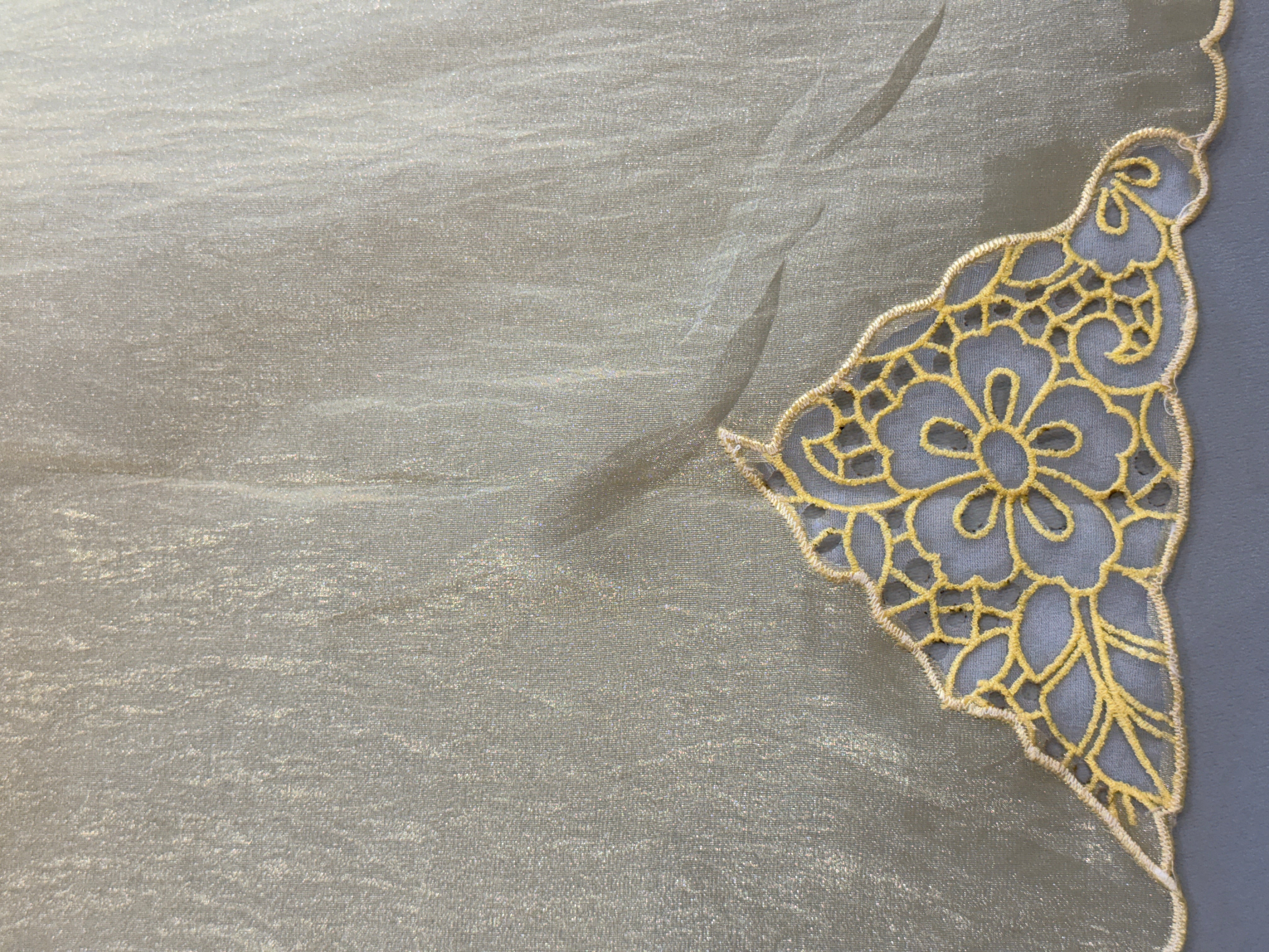 Cut Work Embroidery Detailed Glass Organza Saree | BLD502