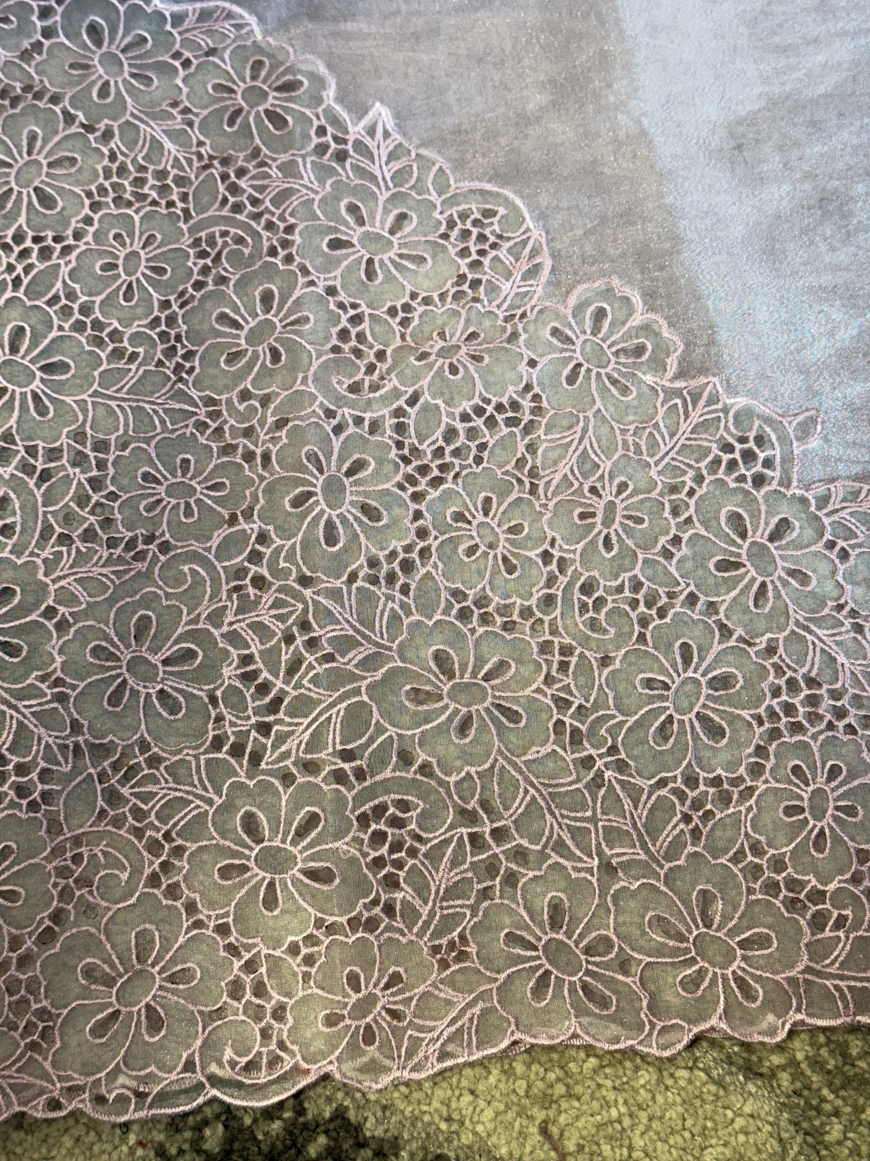 Glass Organza Saree With Placement Embroidery | BLD501