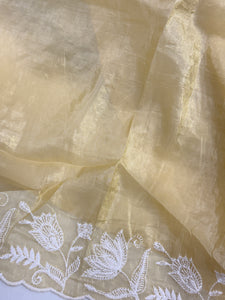 Party Wear Glass Organza Saree | BLD517