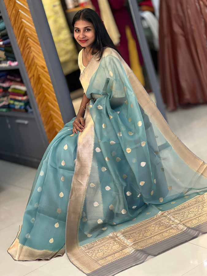 Hand Woven Organza  Saree | BHH124