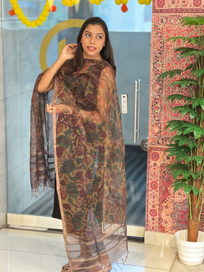 Pen Kalamkari Print Detailed Organza Dupatta | HE244