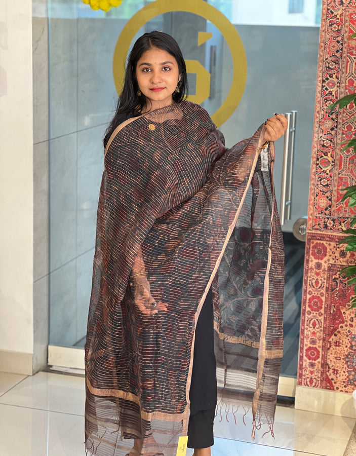 Pen Kalamkari Print Detailed Organza Dupatta | HE245
