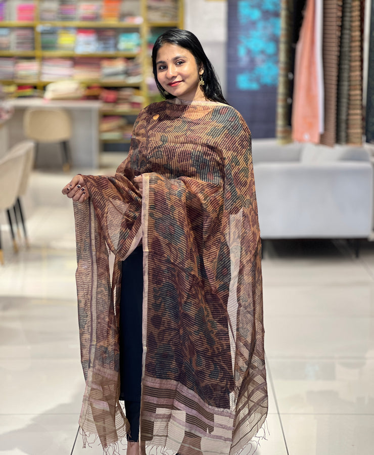 Pen Kalamkari Print Detailed Organza Dupatta | HE243