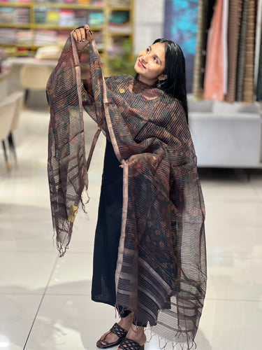 Pen Kalamkari Print Detailed Organza Dupatta | HE242