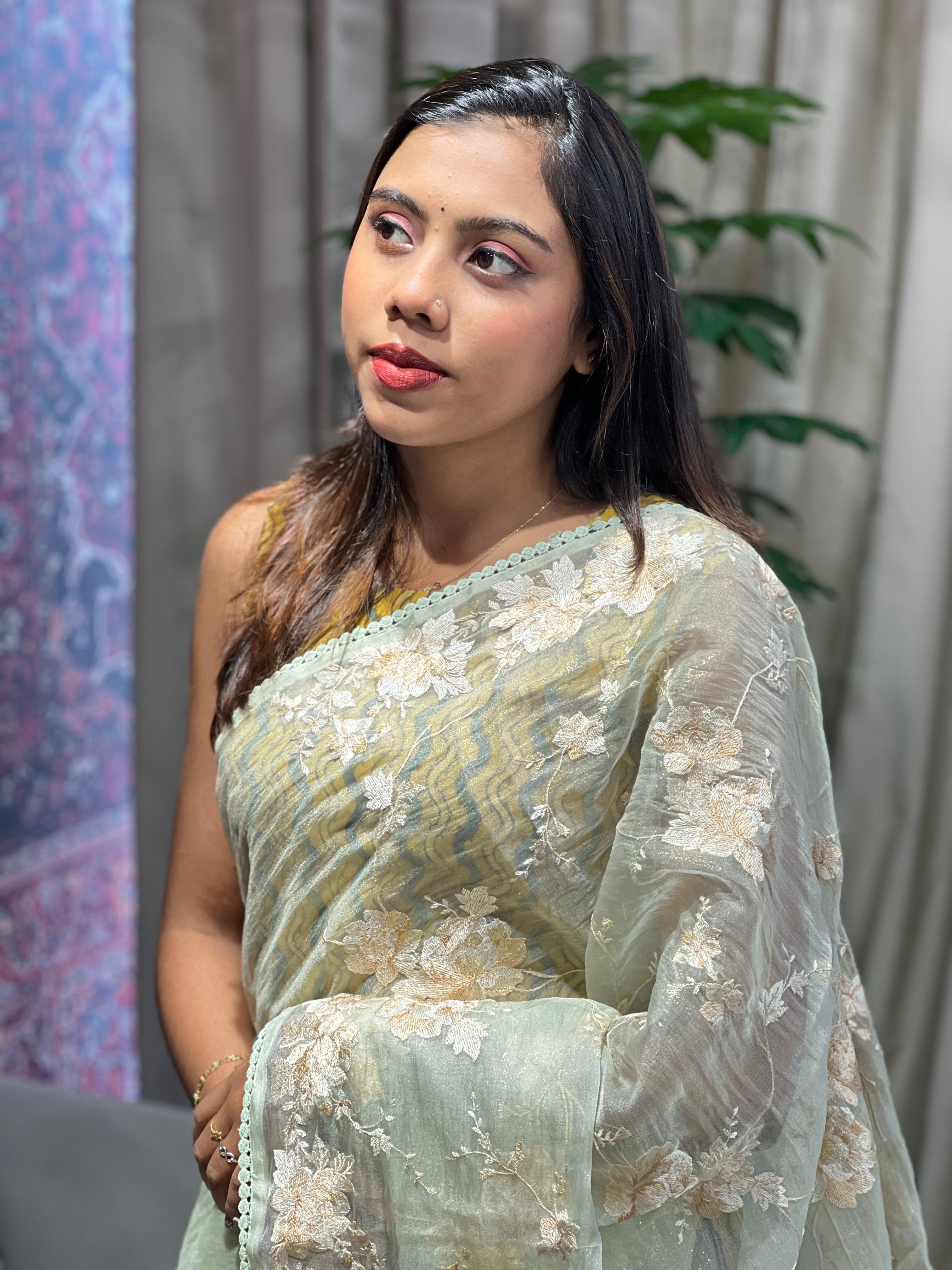 Floral Embroidery Detailed Shimmer Organza Saree | BLD1913