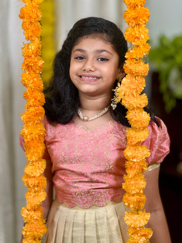 Floral Jaal Brocade Patterned Banarasi Katan Unstitched Skirt & Top | ONK111