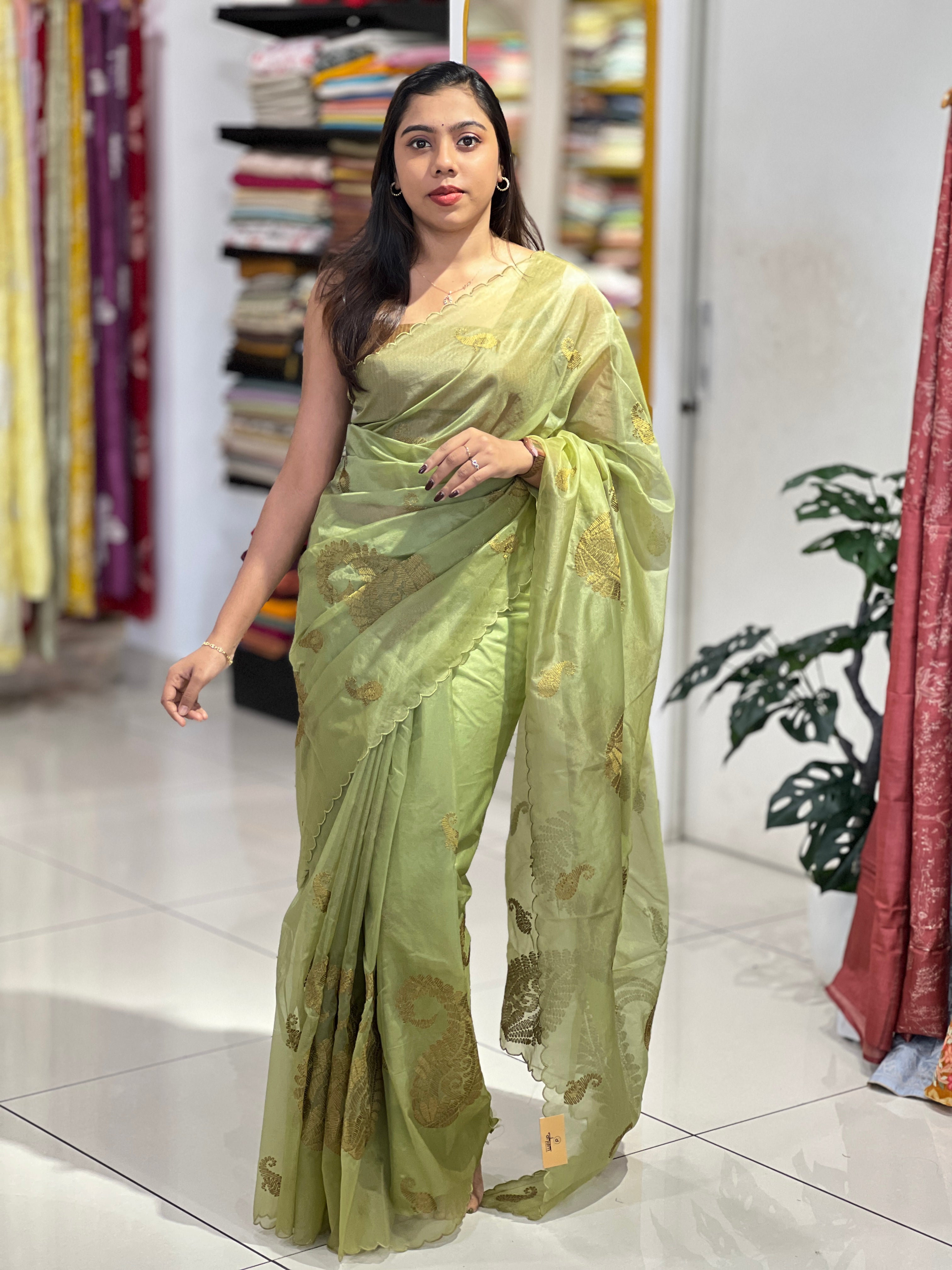 Paisley Embroidery Detailed Organza Saree | MM393