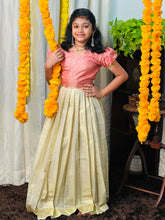 Floral Jaal Brocade Patterned Banarasi Katan Unstitched Skirt & Top | ONK111