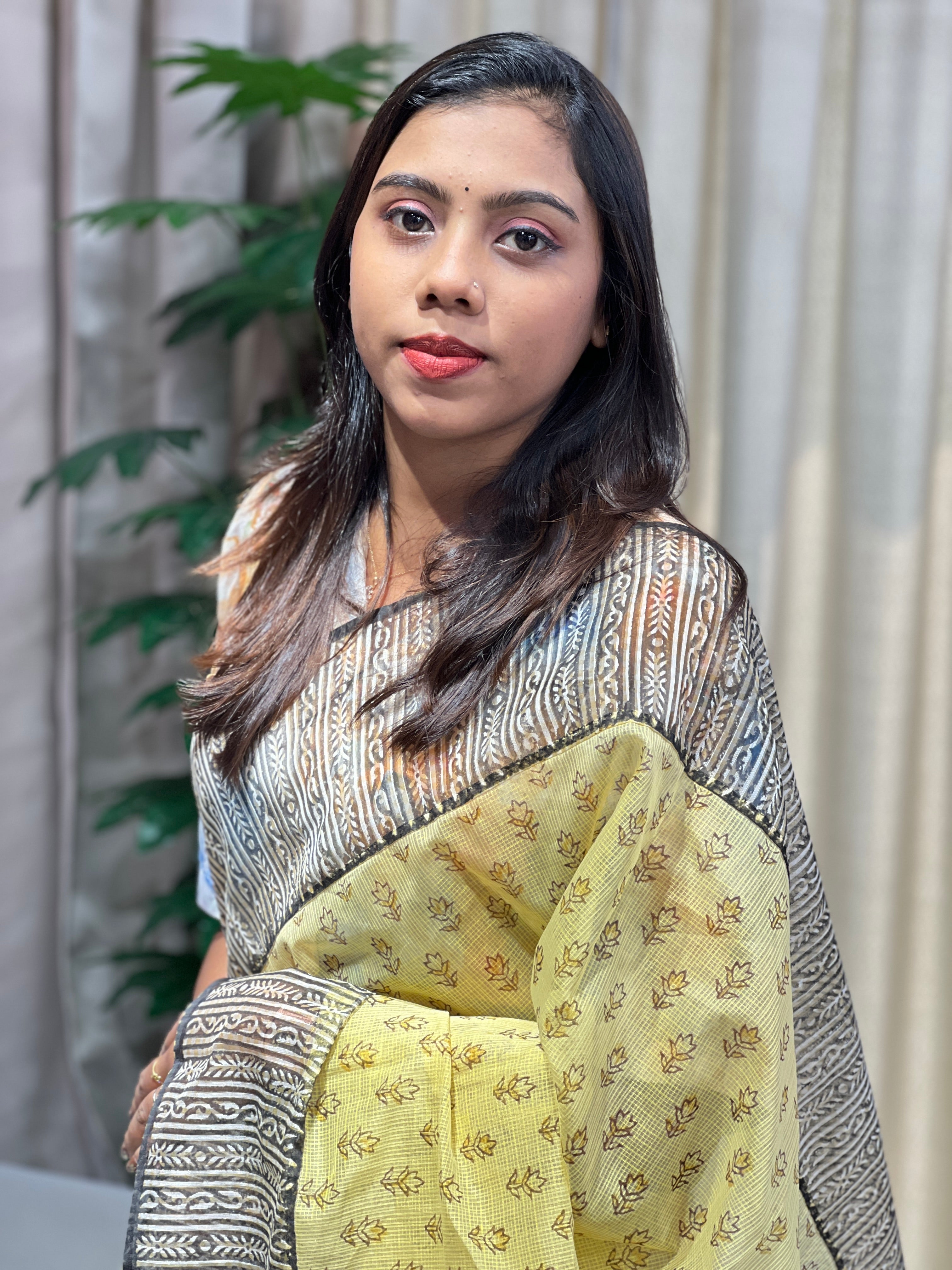 Block Print Detailed Check Organza Saree | JSC487