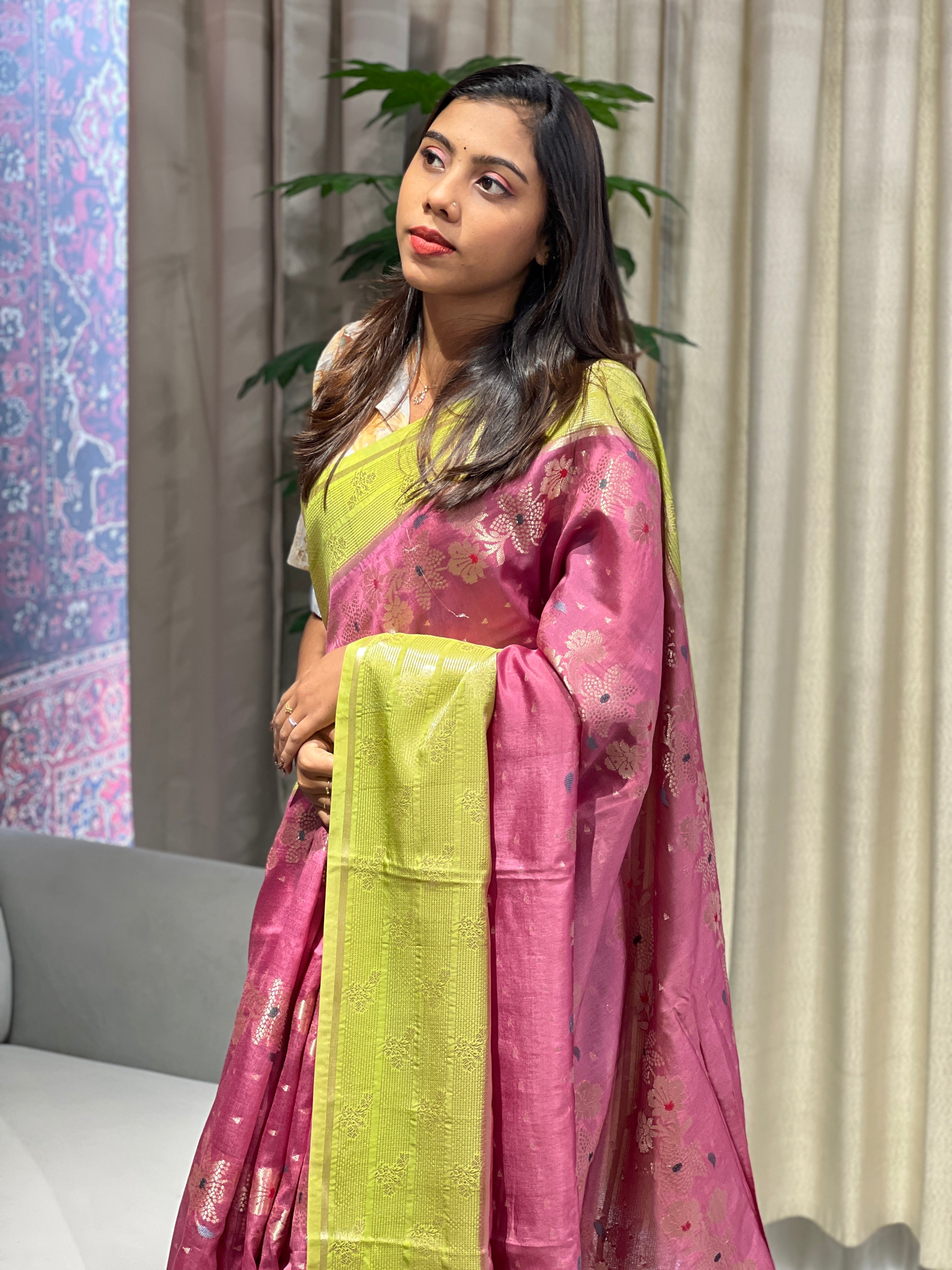 Meenakari Patterned Banarasi Saree | NN429