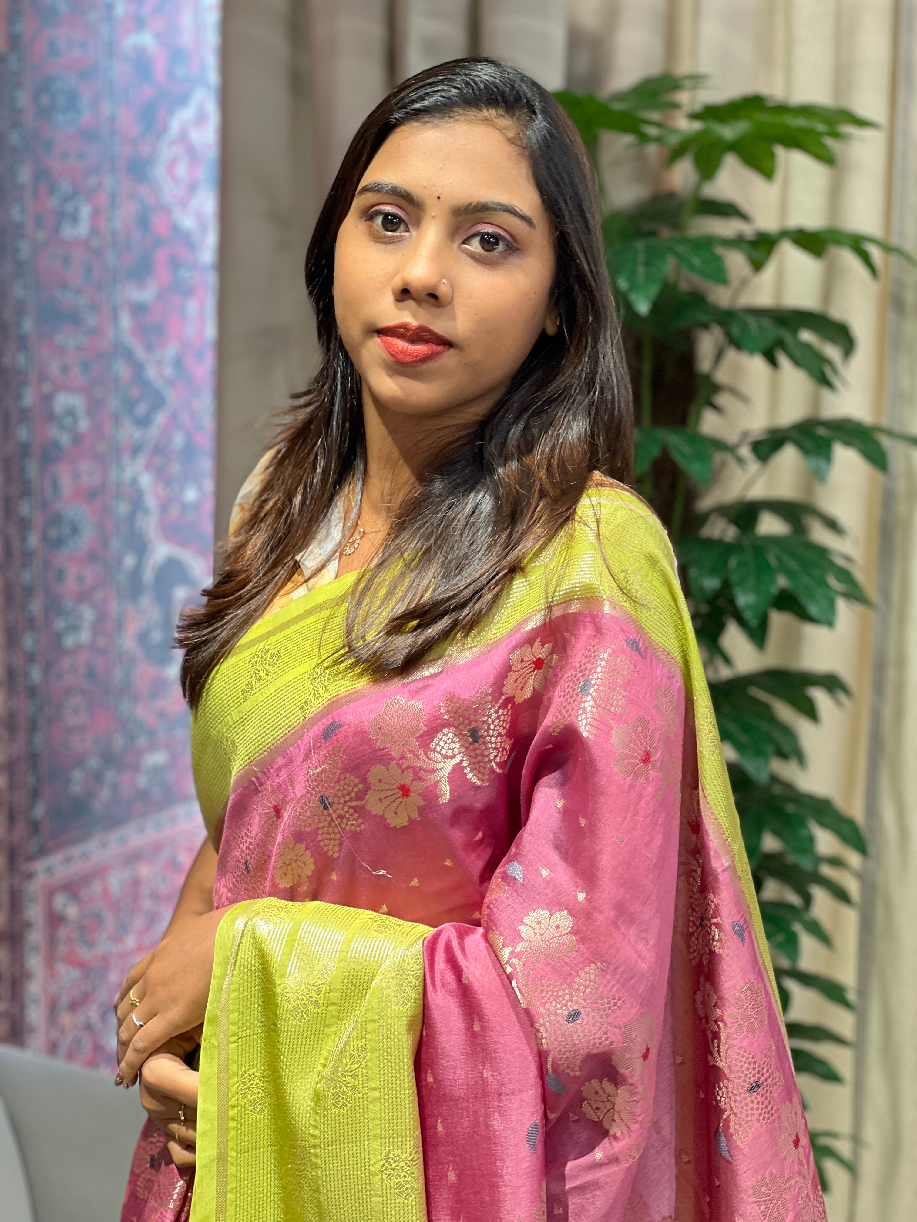 Meenakari Patterned Banarasi Saree | NN429