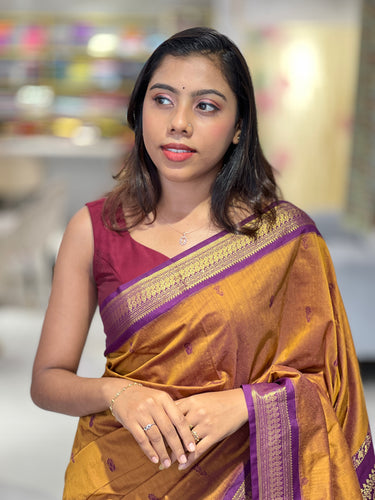 Traditional Thread Weaved Cotton Saree | ONA119