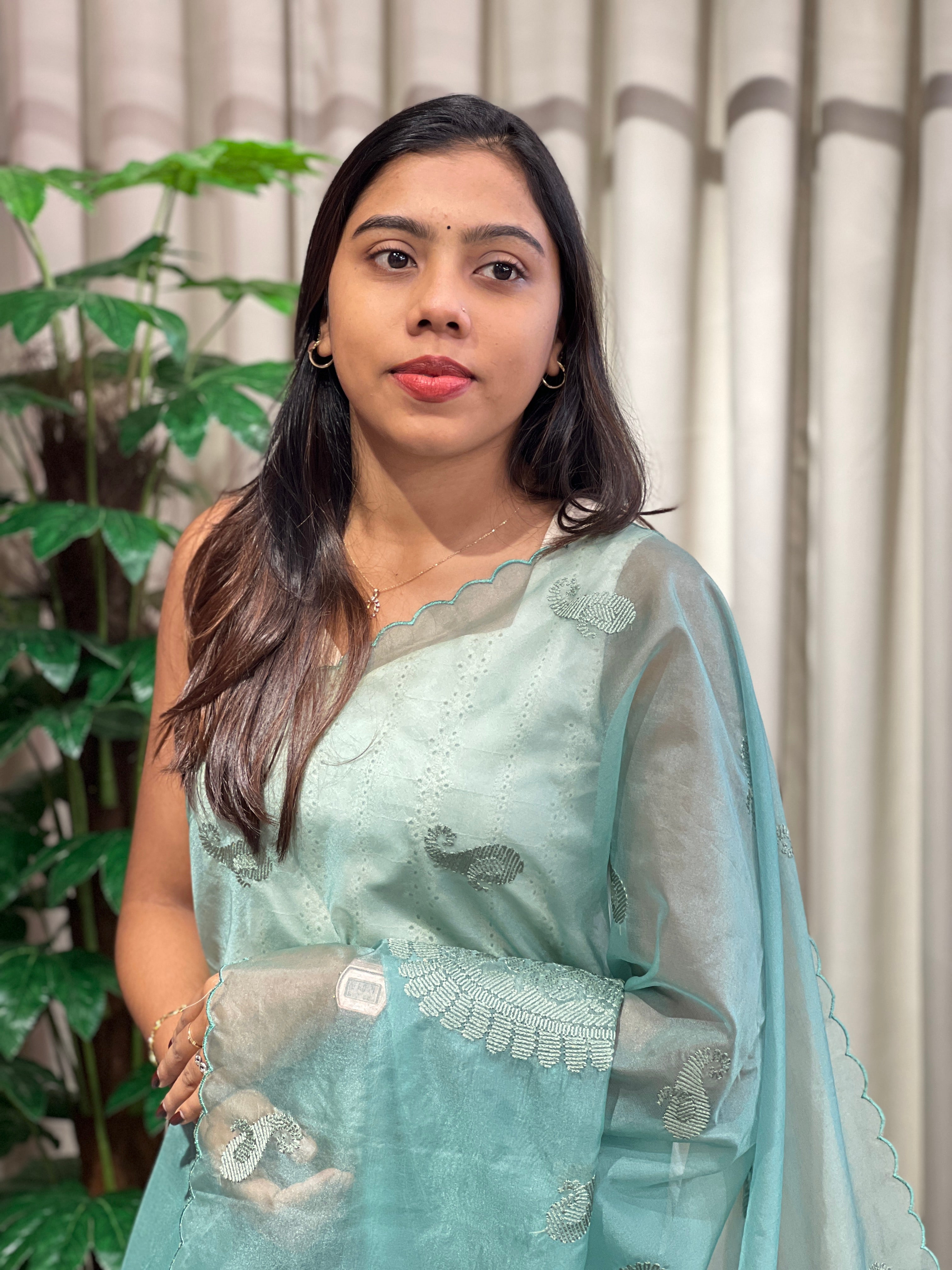 Paisley Embroidery Detailed Organza Saree | MM390