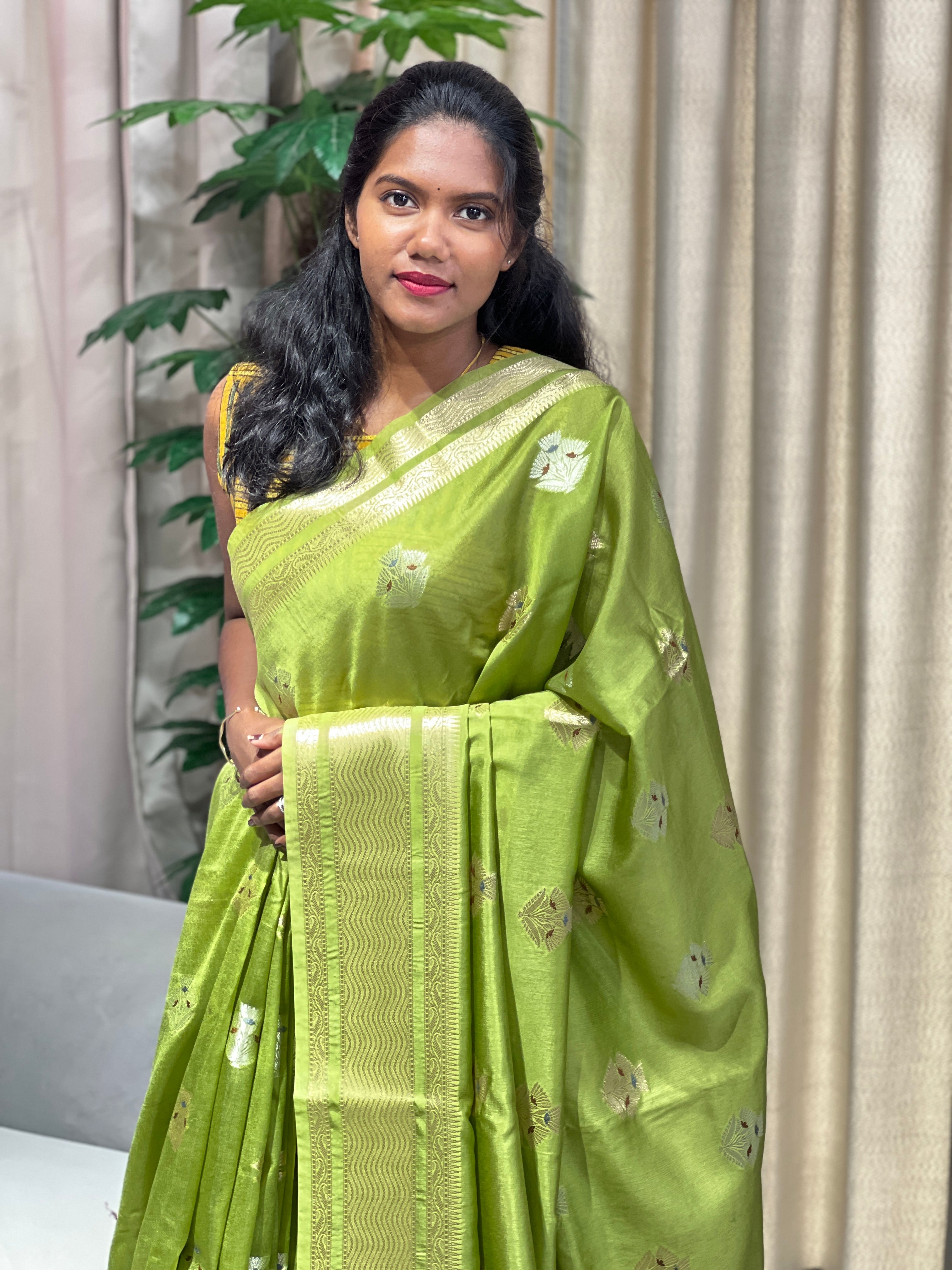 Zari And Thread Woven Banarasi Saree | NN424