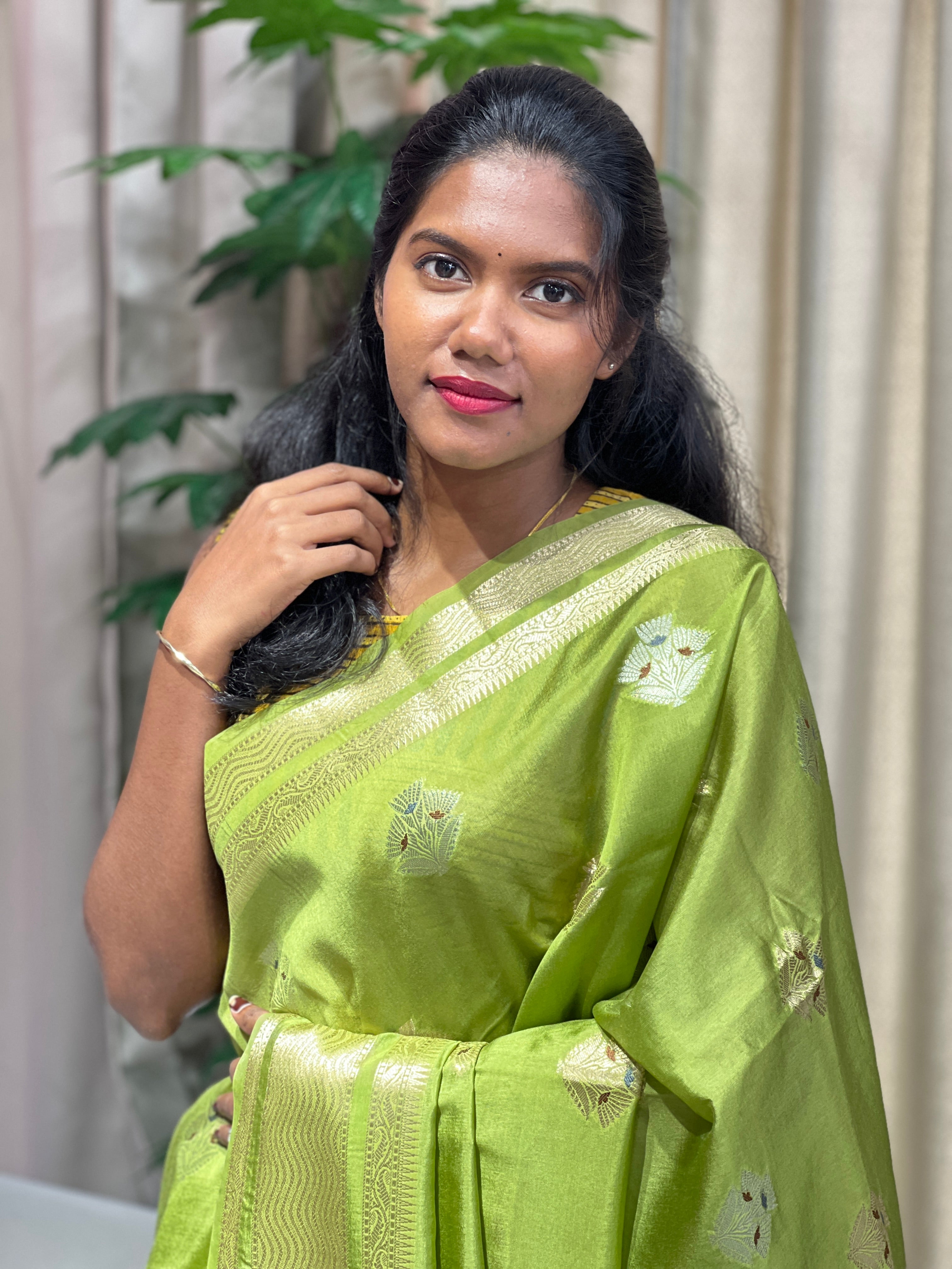 Zari And Thread Woven Banarasi Saree | NN424