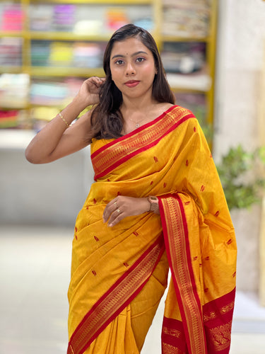 Traditional Thread Weaved Cotton Saree | ONA121