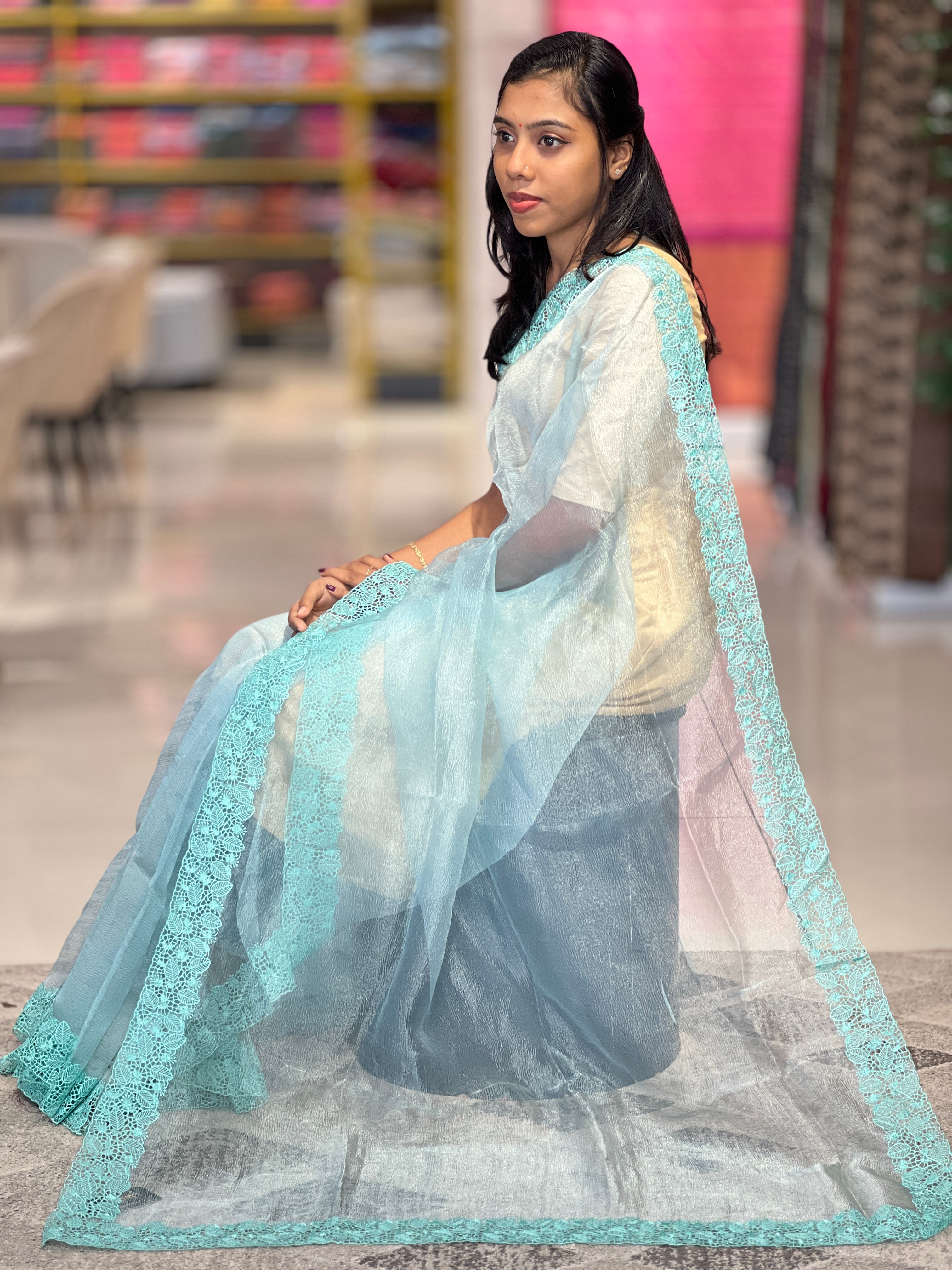 Cut Work Embroiderd Crushed Organza Saree | SBP532