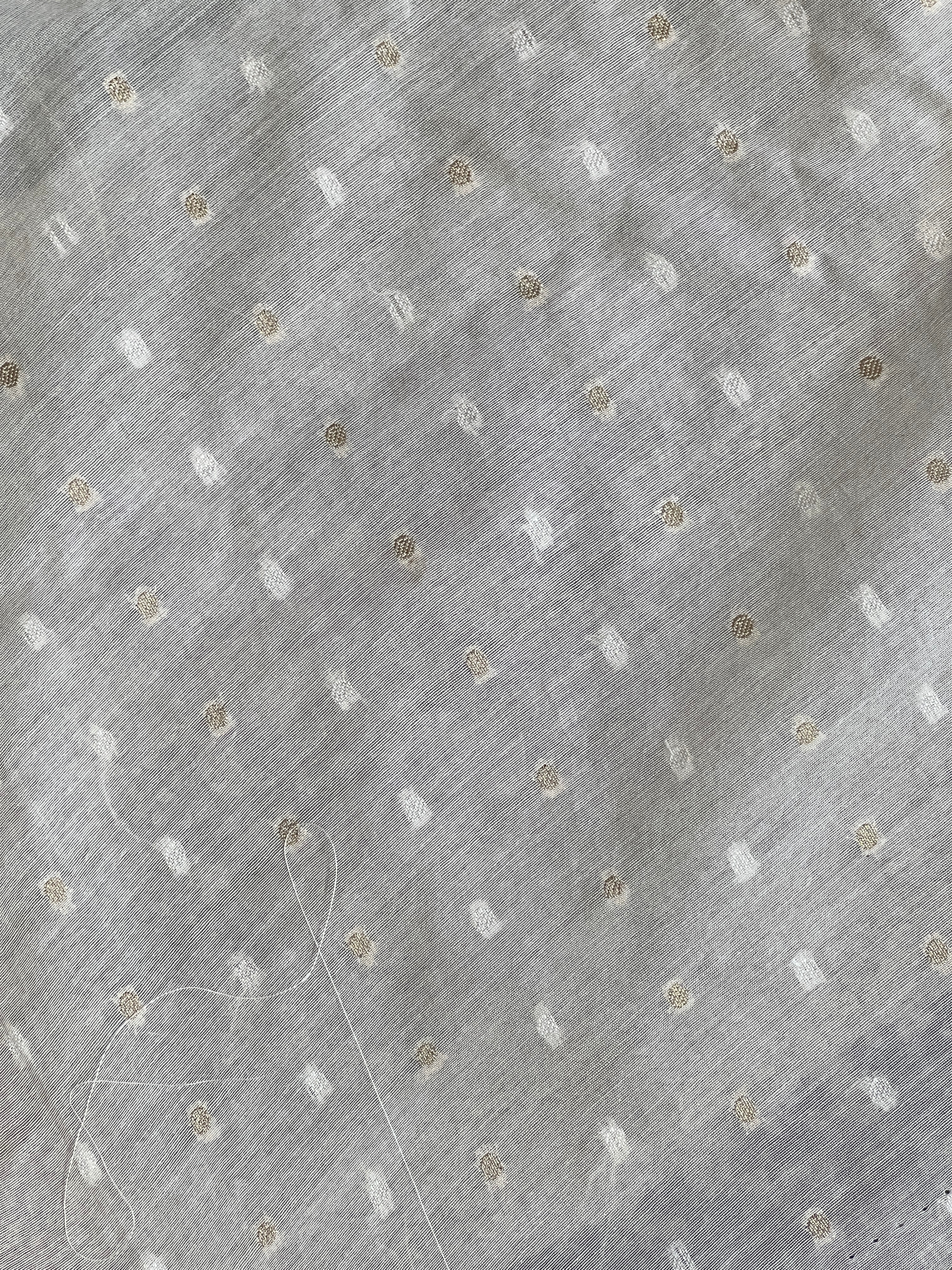 Floral Machine Embroidery Detailed Organza Saree | MM385