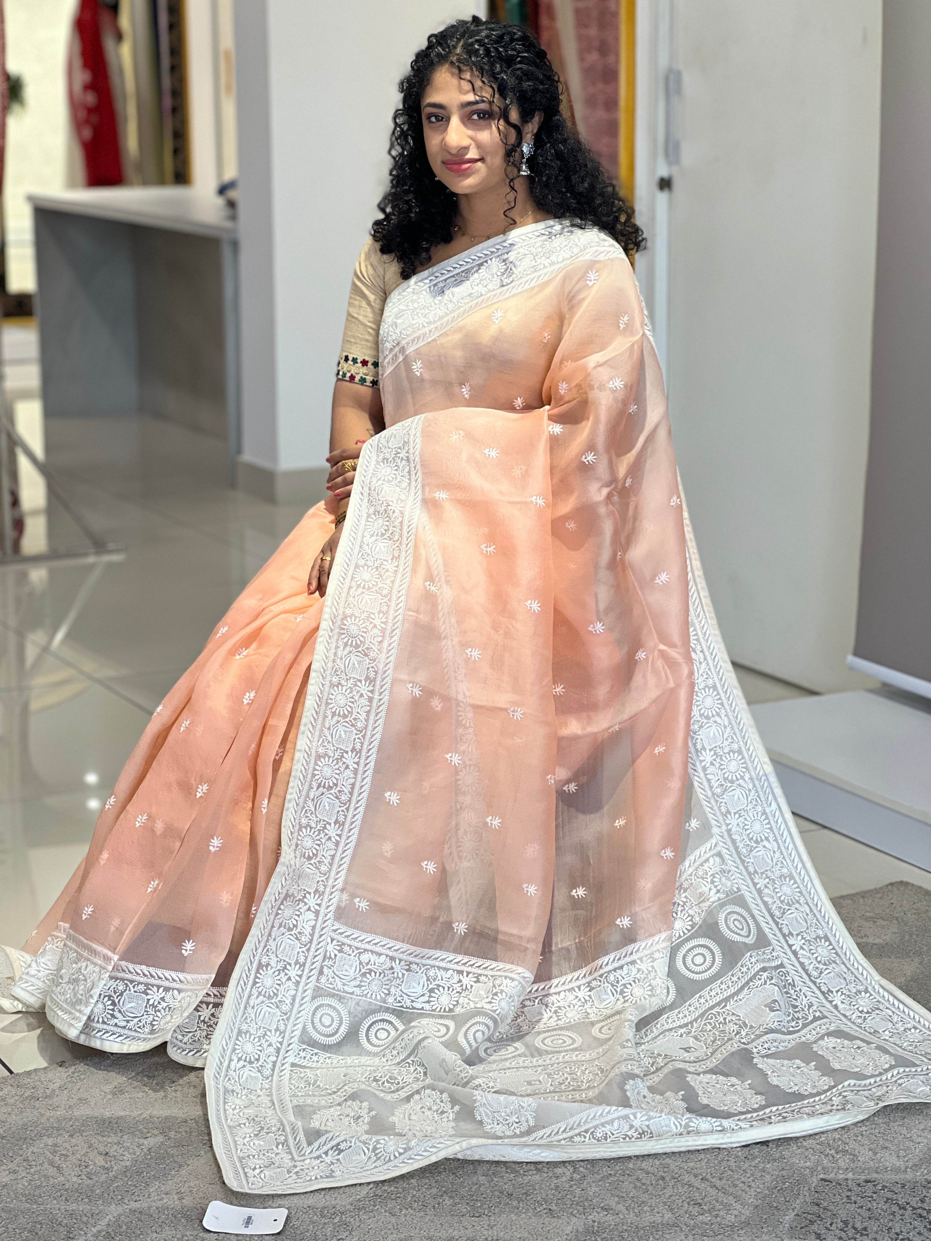 Floral Embroidery Organza Saree | SBS1000
