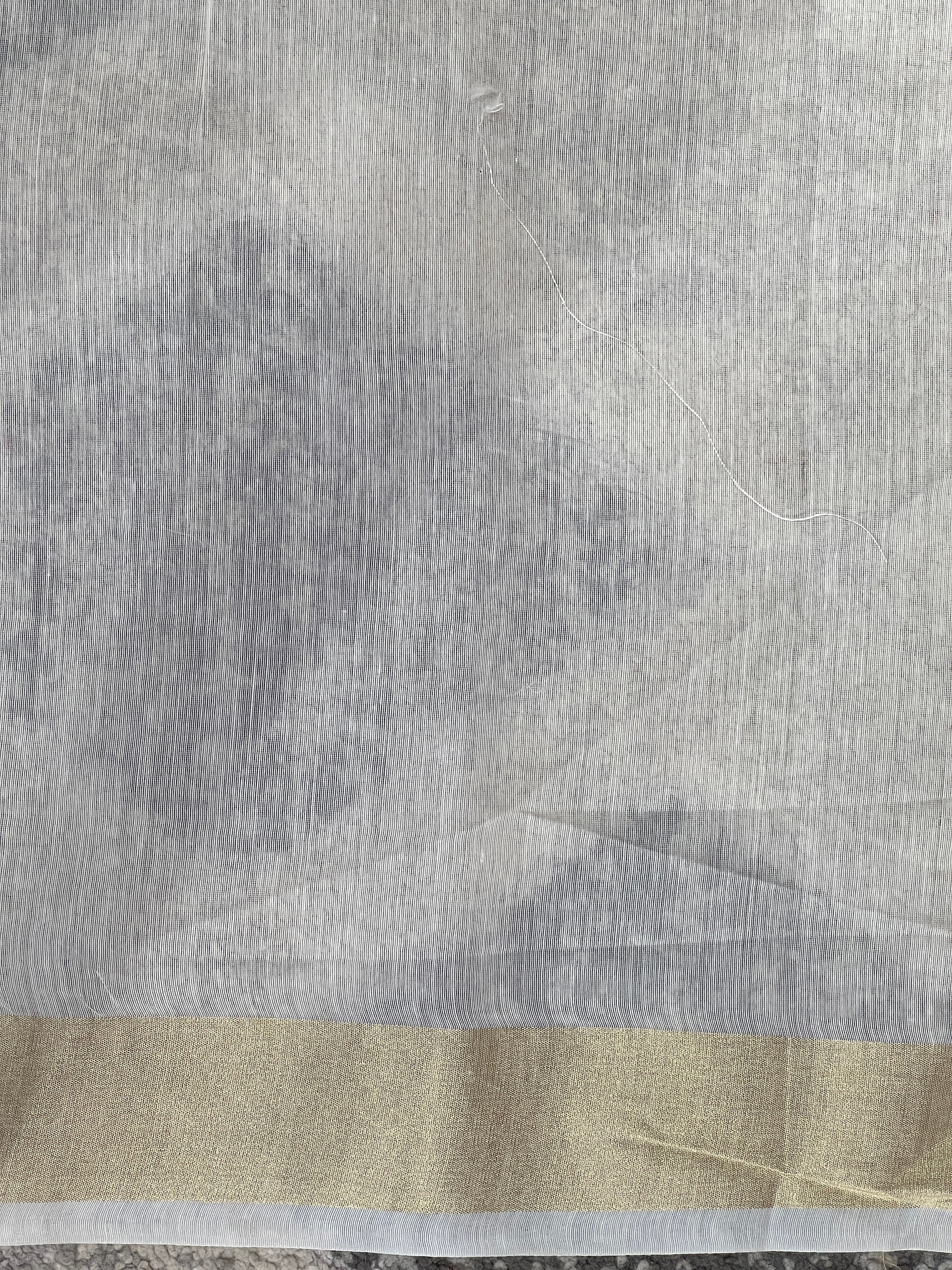 Paisley Patterned Chanderi Saree | MR420