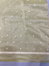 Point Embroidery Detailed Viscose Organza Saree | SUN511