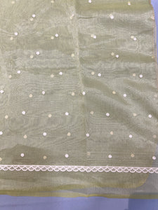 Point Embroidery Detailed Viscose Organza Saree | SUN511