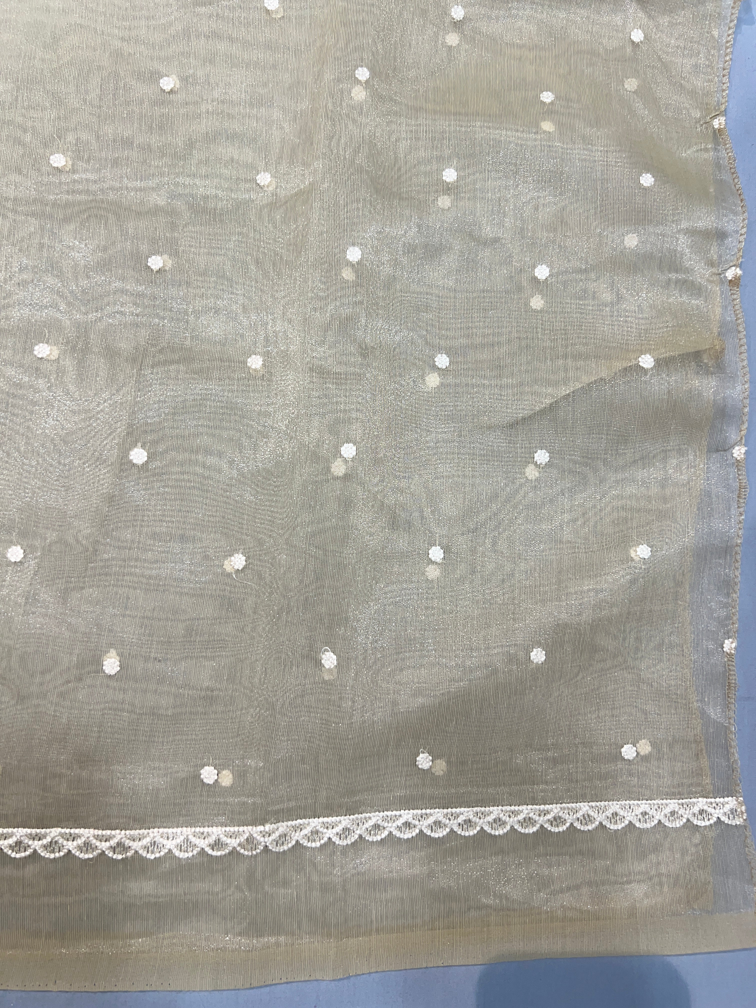 Point Embroidery Detailed Viscose Organza Saree | SUN513