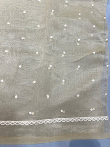 Point Embroidery Detailed Viscose Organza Saree | SUN513