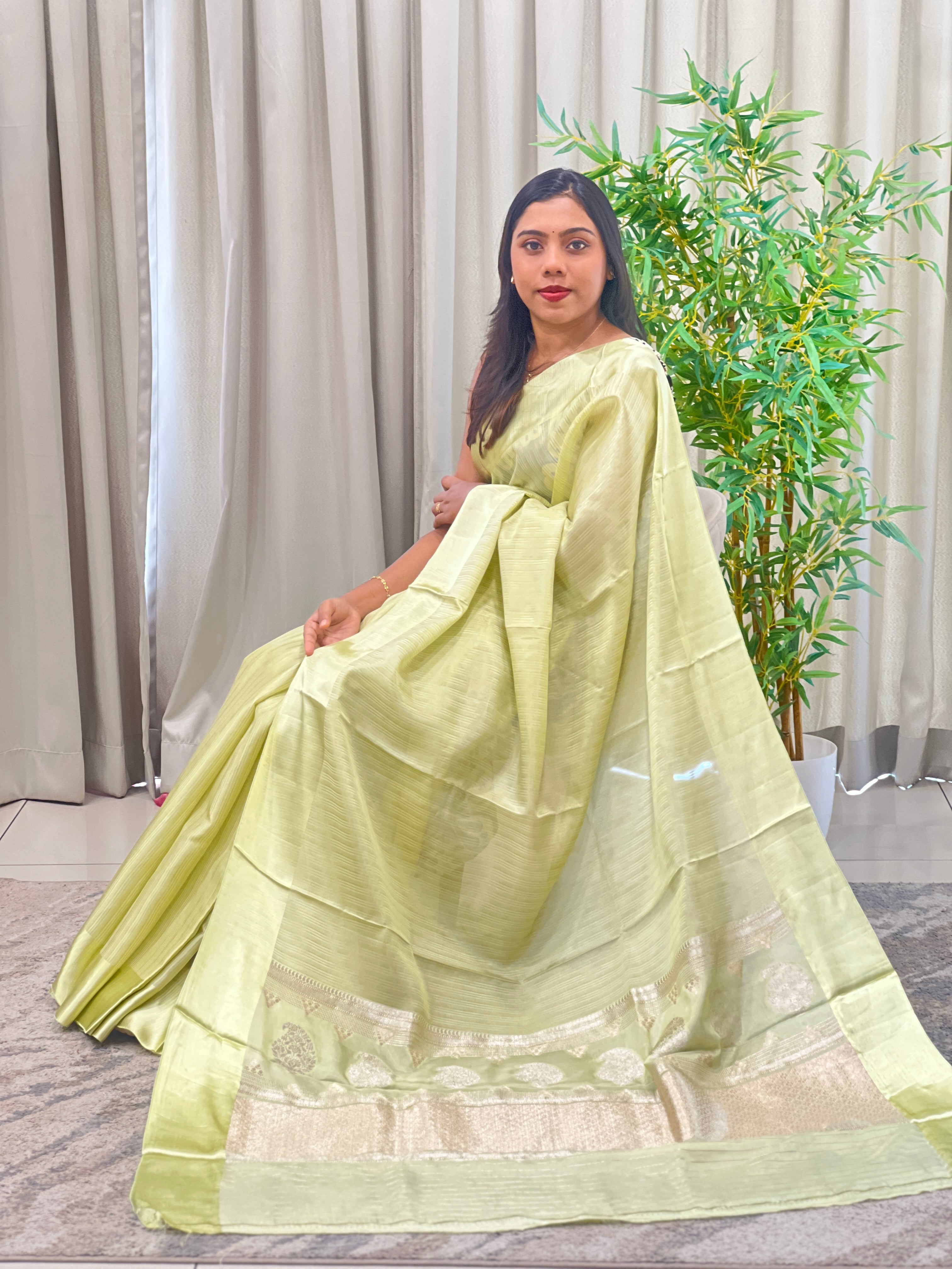 Stripe Weaving Pattern Organza Saree | GA156