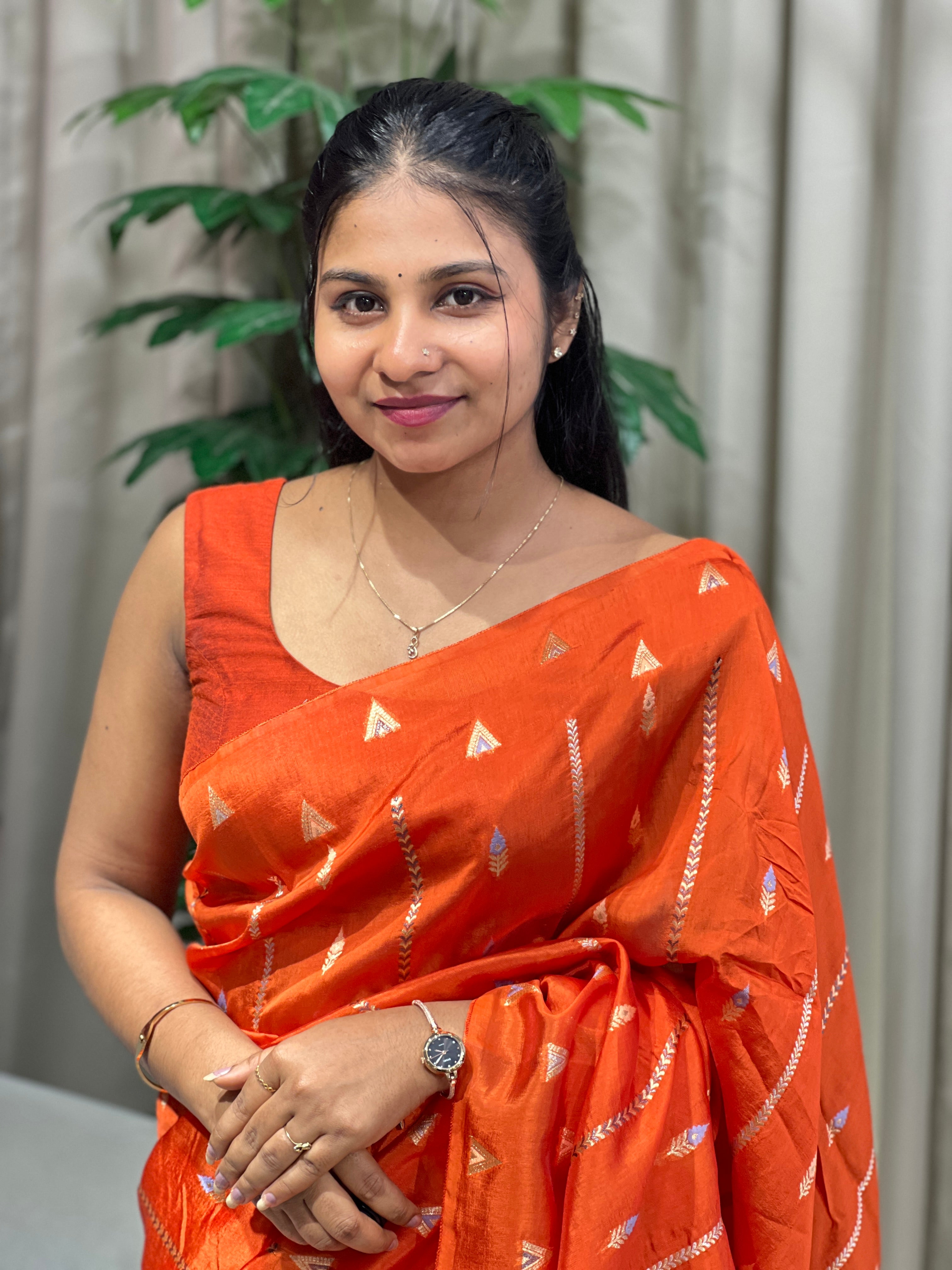 Zari And Thread Woven Semi Silk Saree | NN439