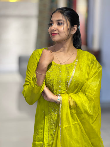 Hand Embroidered Organza Kurta Set | FW350
