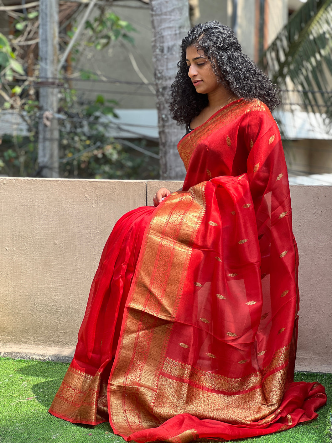 Antique Gold Banarasi  Border Organza Saree | AHD1624
