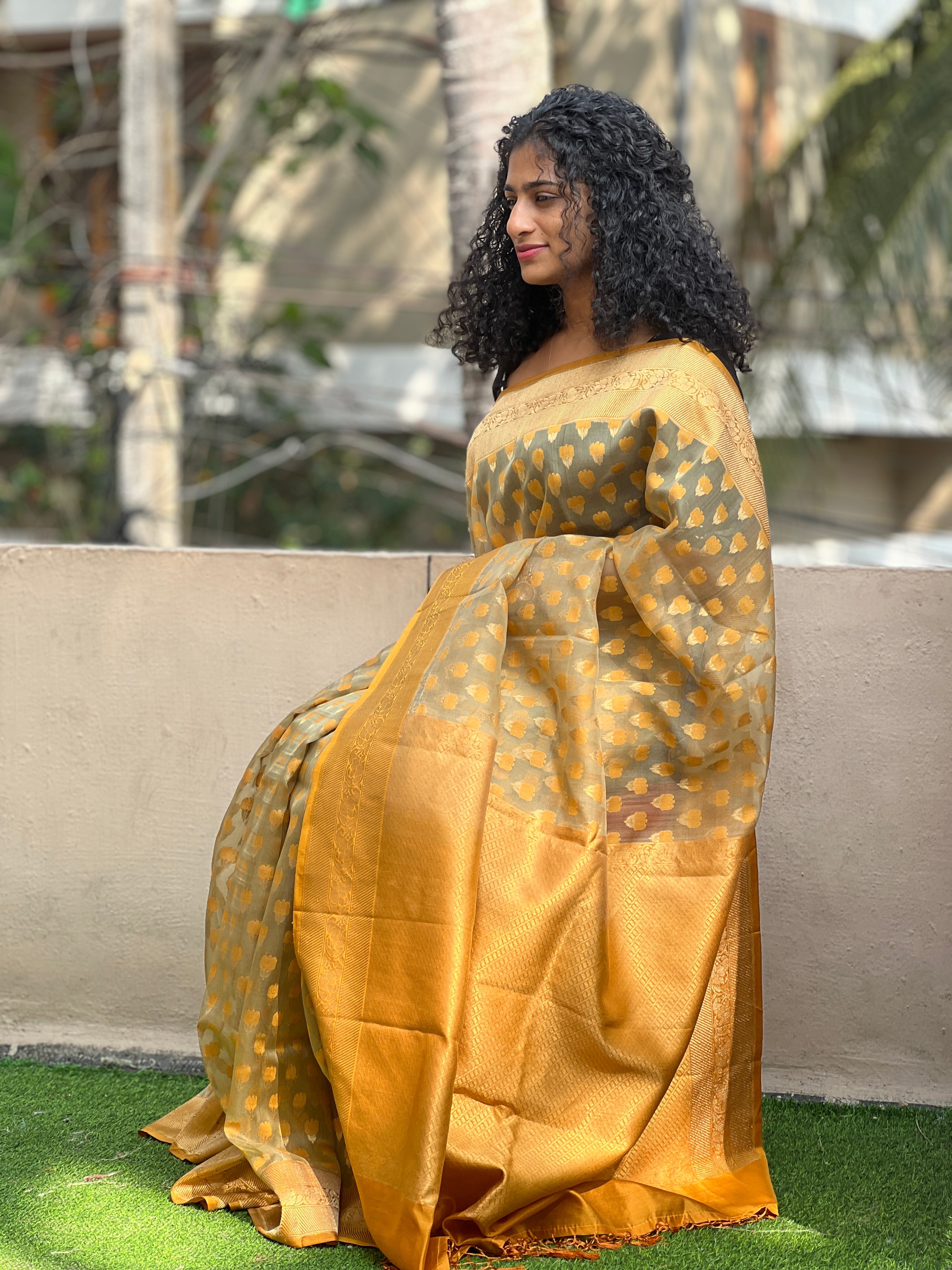 Jamdani Weaving Organza Saree | AHD1615