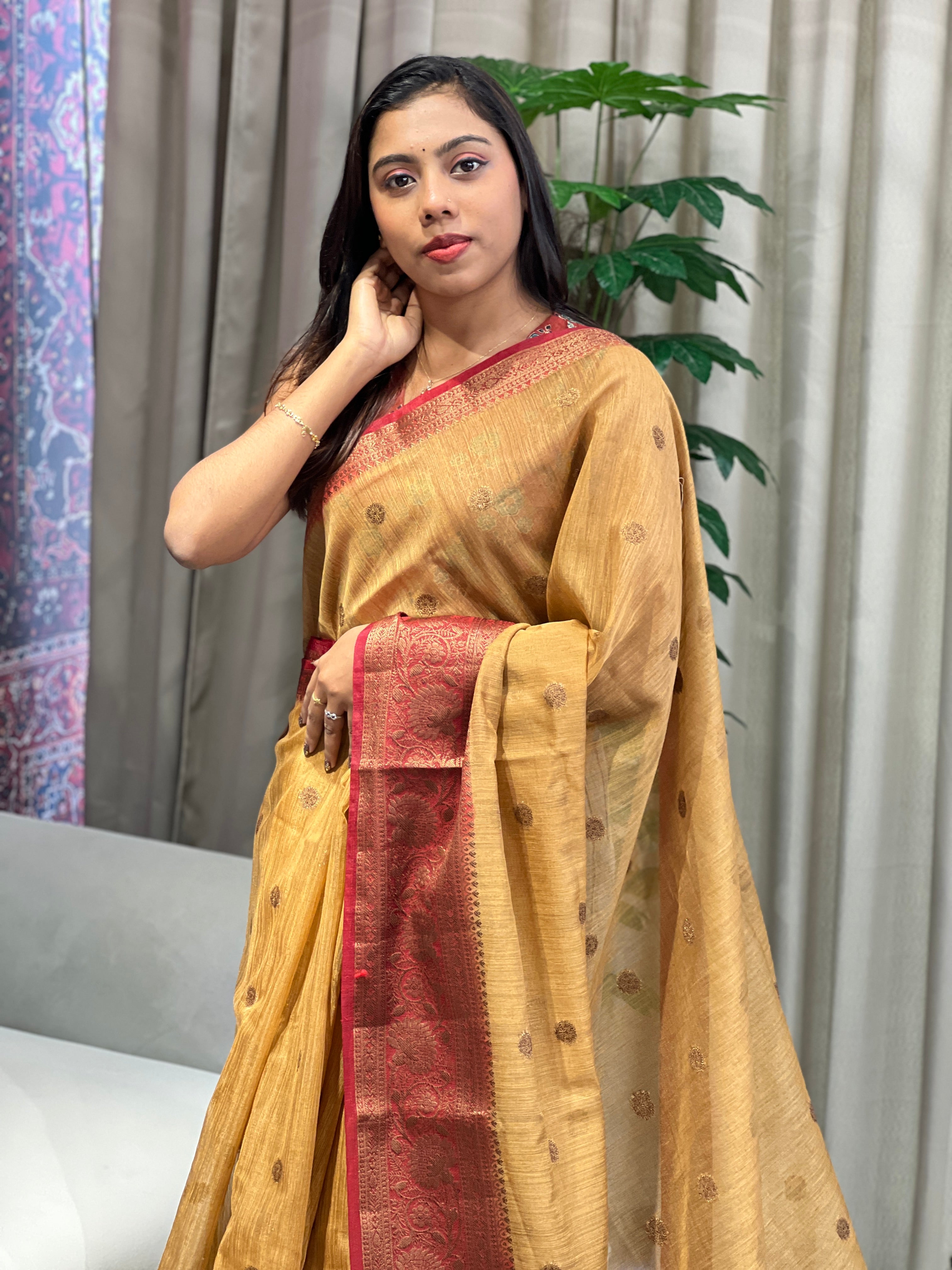 Banarasi Woven Cotton Silk Saree | YNG1080