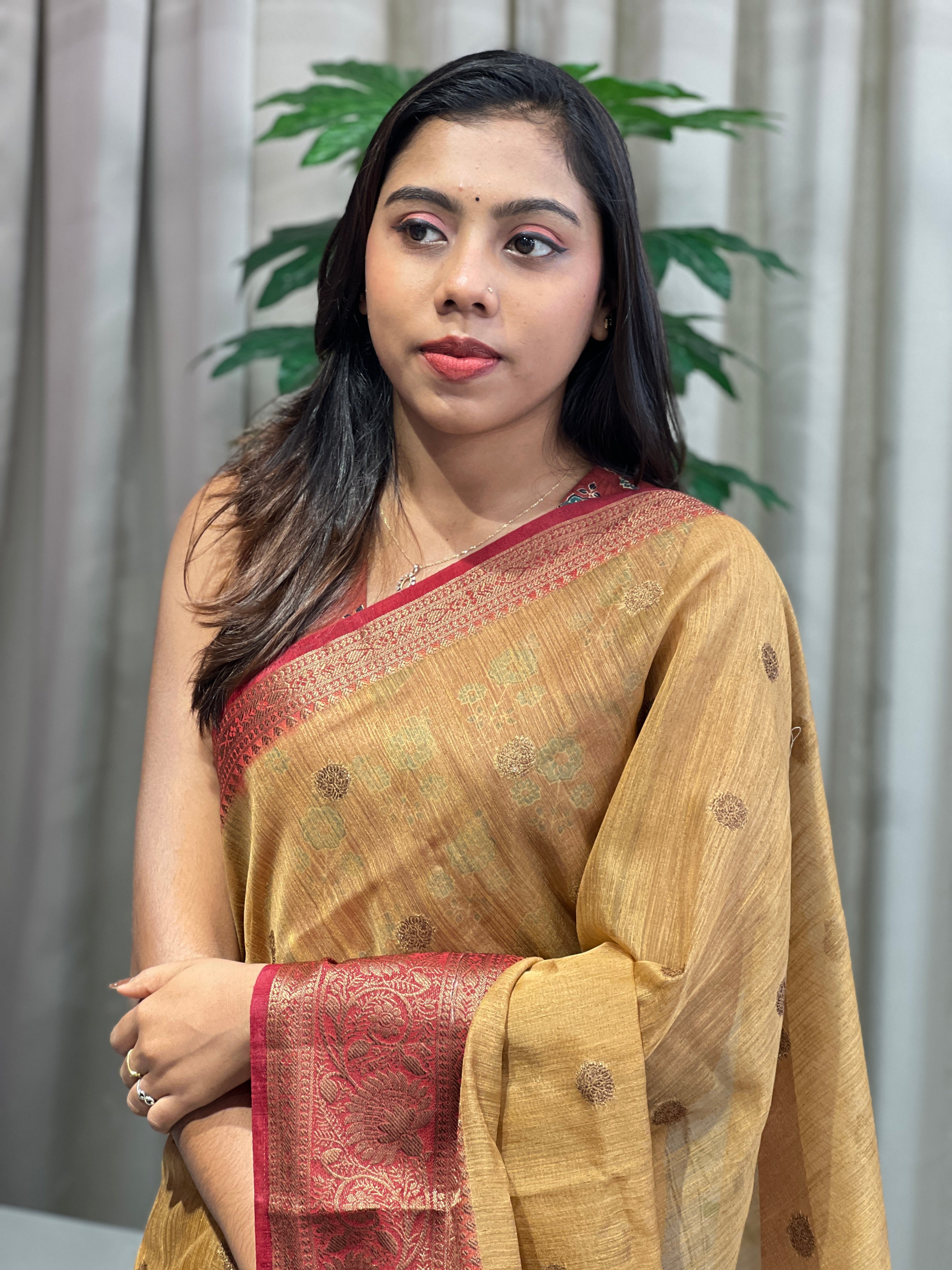 Banarasi Woven Cotton Silk Saree | YNG1080