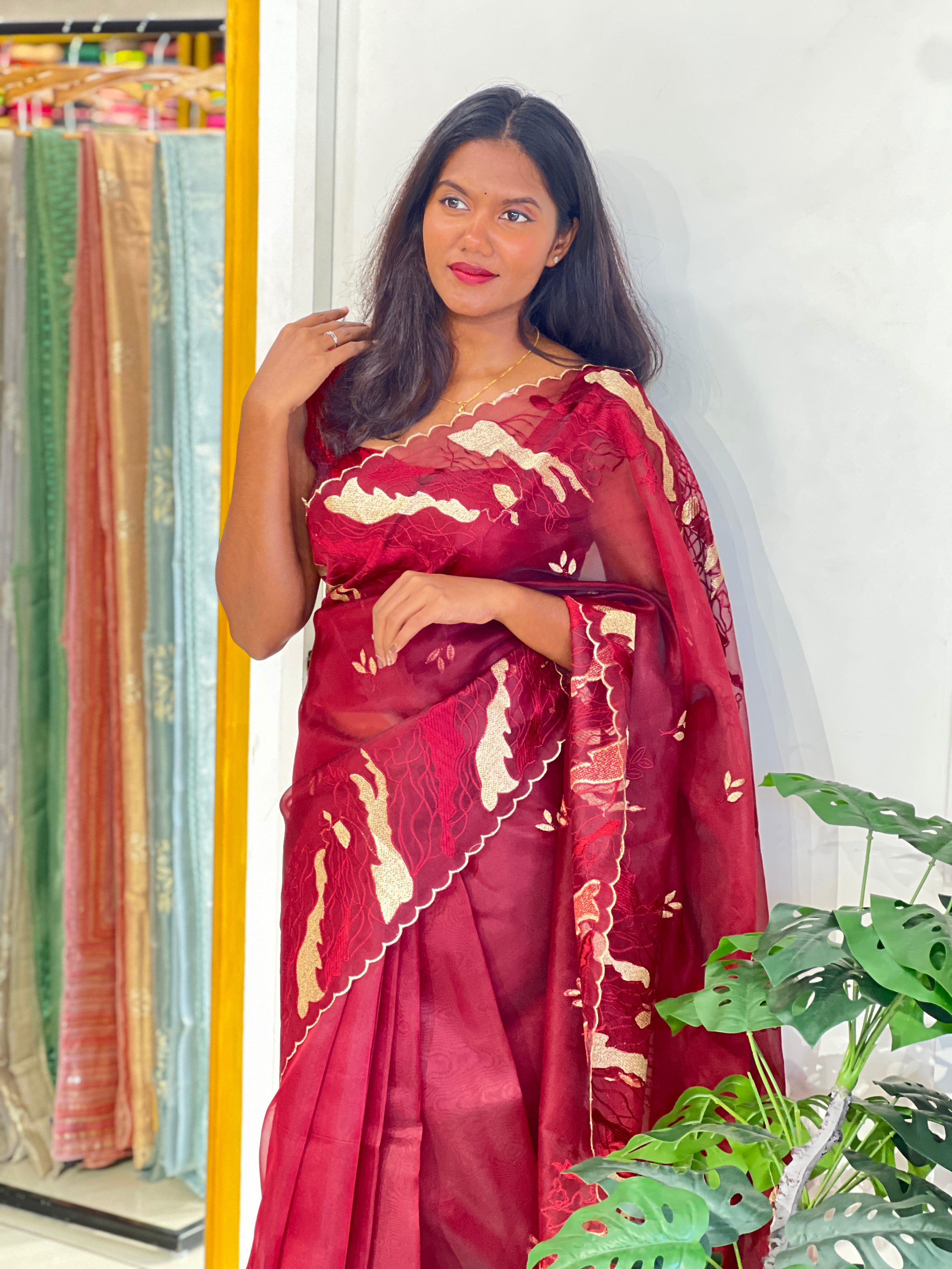 Machine Embroidered Organza Saree | ZSS526