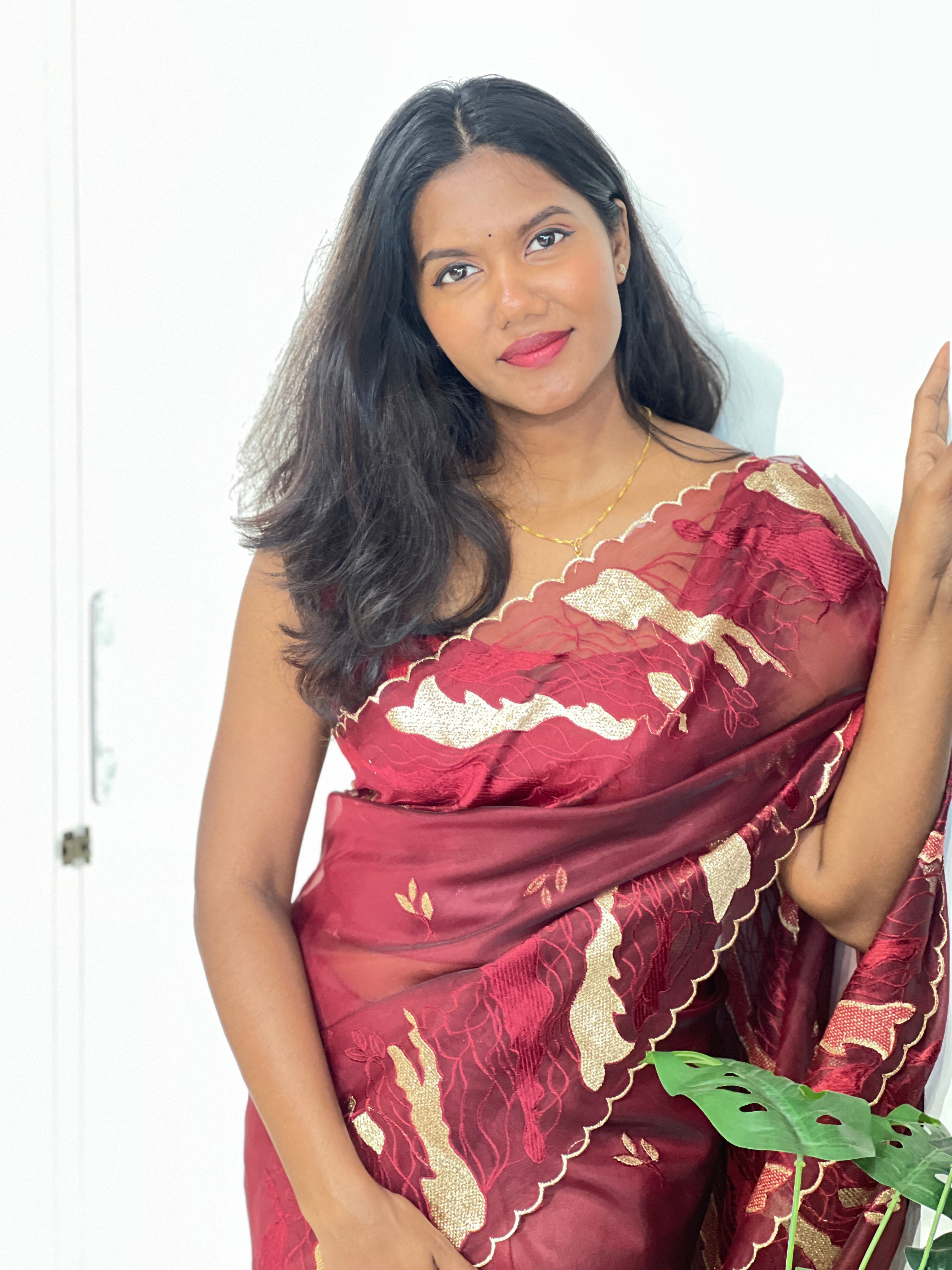 Machine Embroidered Organza Saree | ZSS526