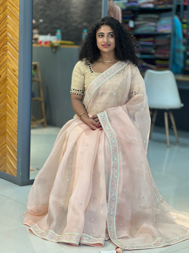 Hand Work  Organza Saree  | SBS424