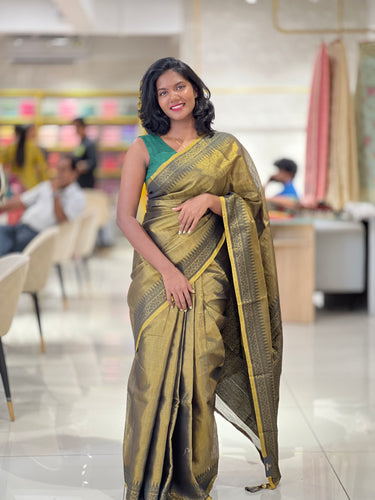 Thread Weaving Pattern Tissue Saree | HT131