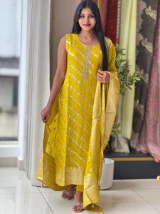 Banarasi Weaved Organza Kurta Set | DS101