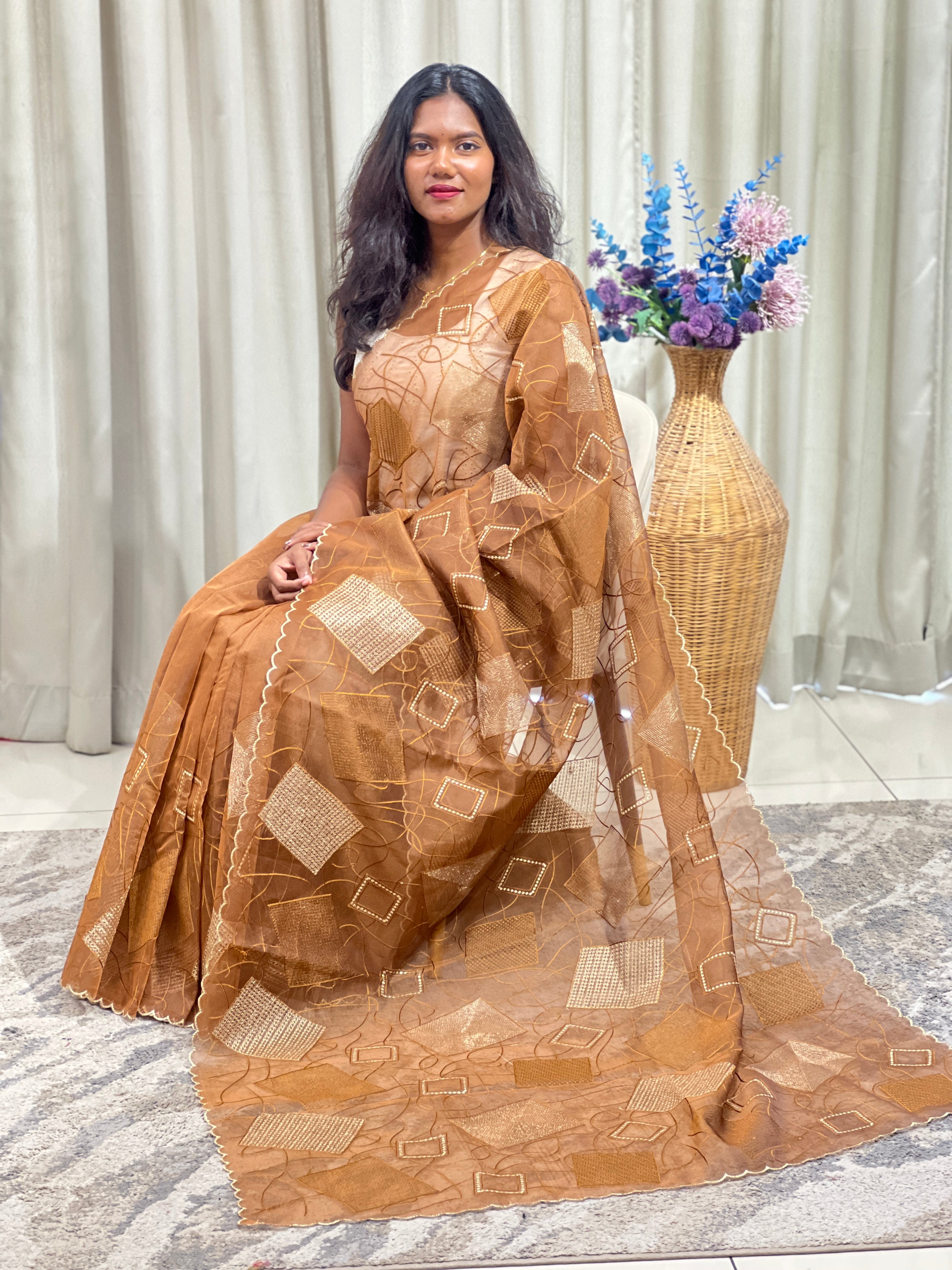 Geometric Pattern Organza Saree | ZSS447
